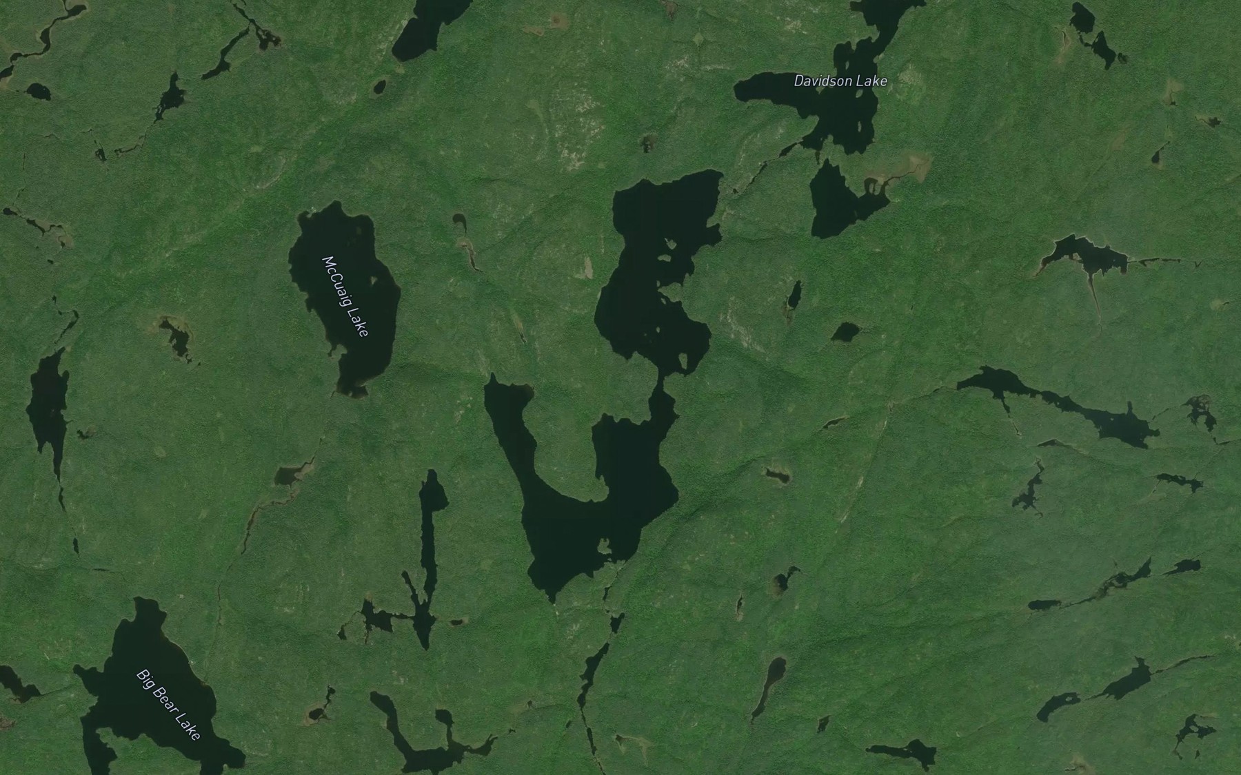 Satellite map of the Ellis Lake
