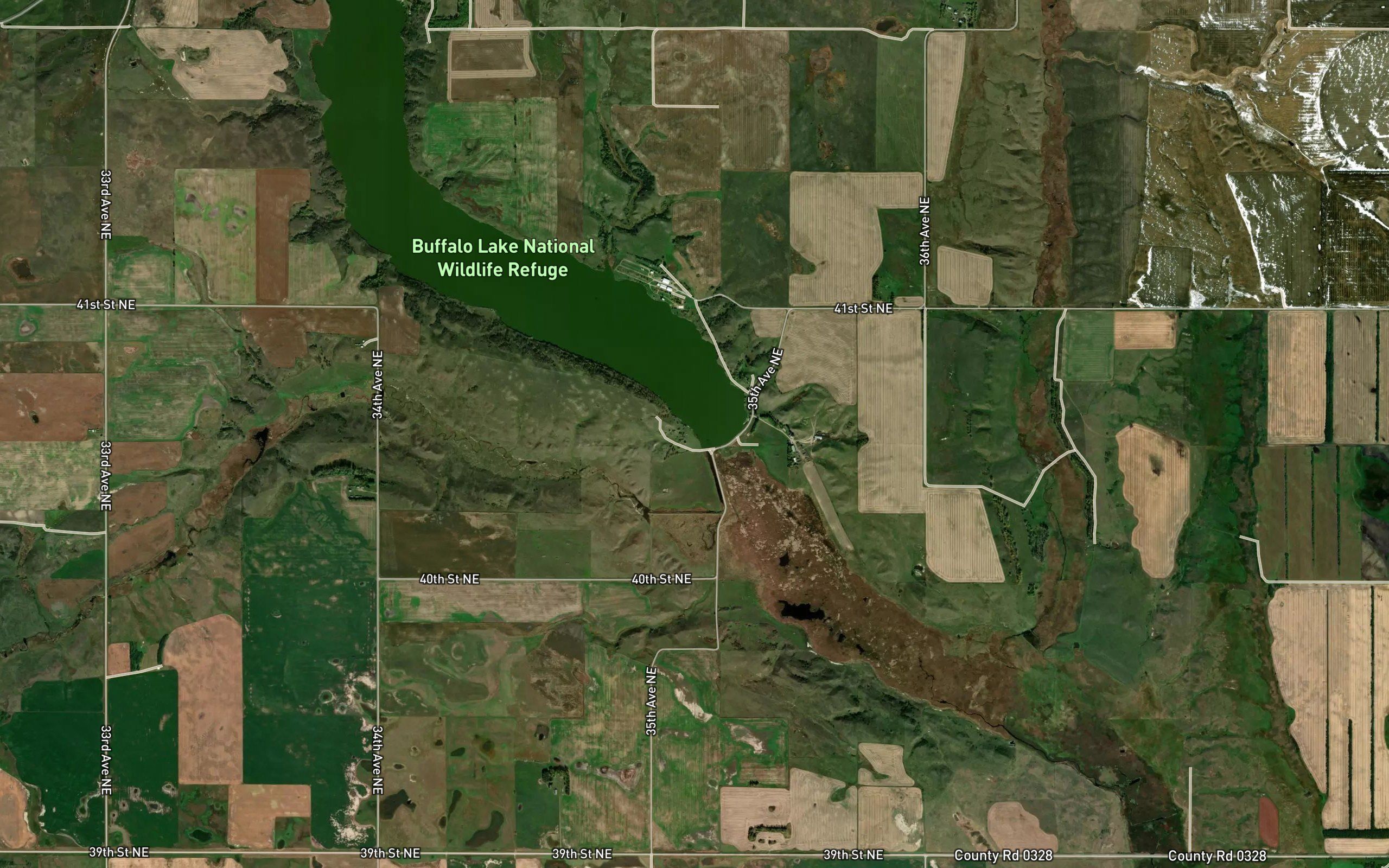 Buffalo Lake