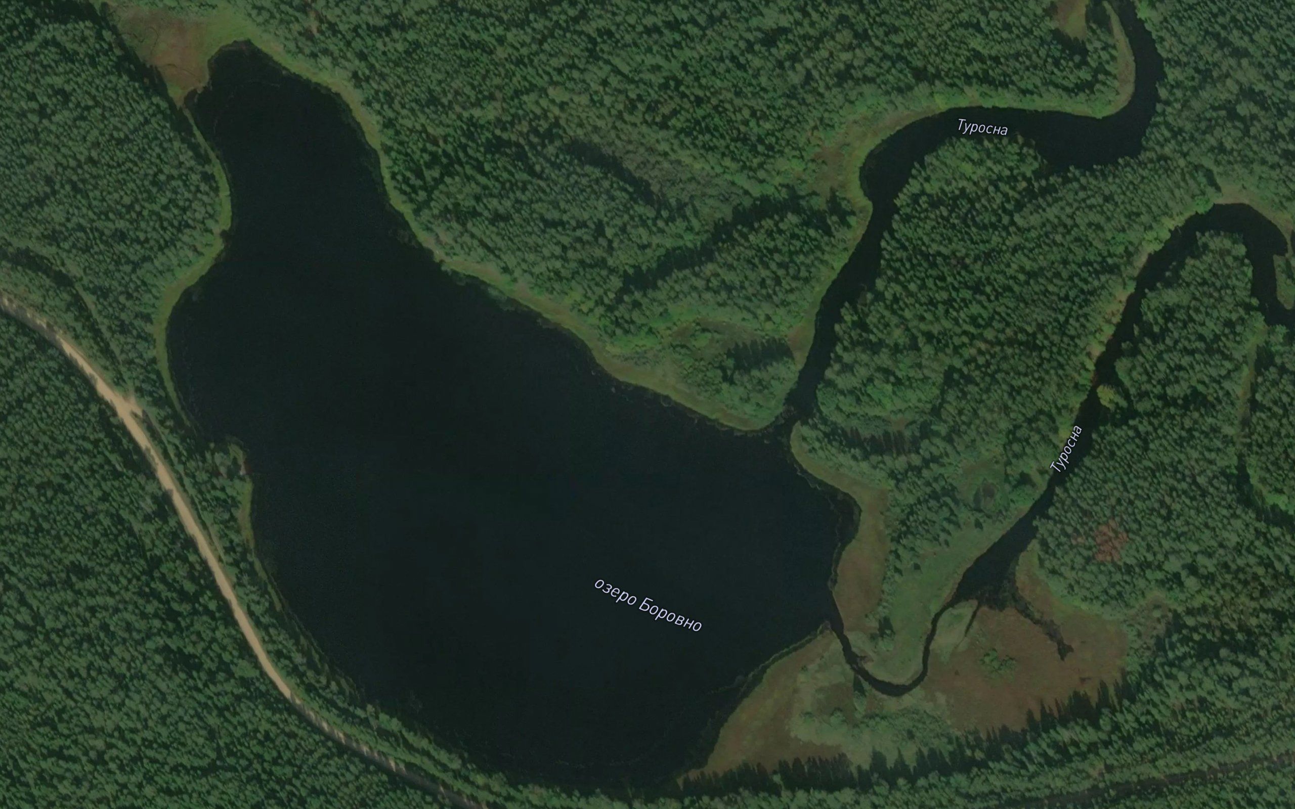 Ozero Borovno