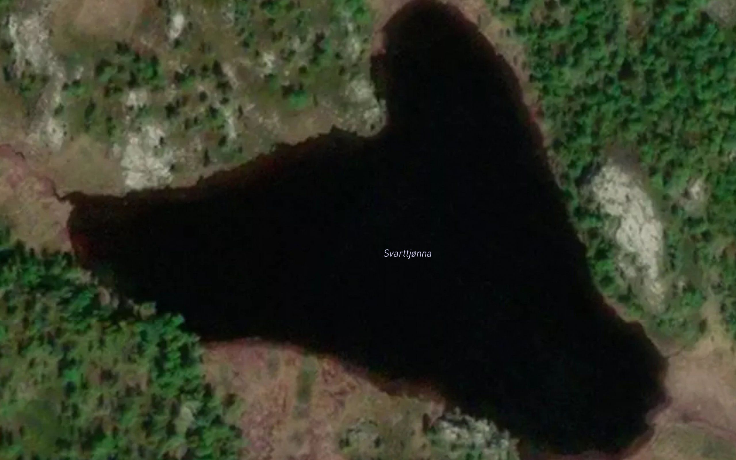 Svarttjonna