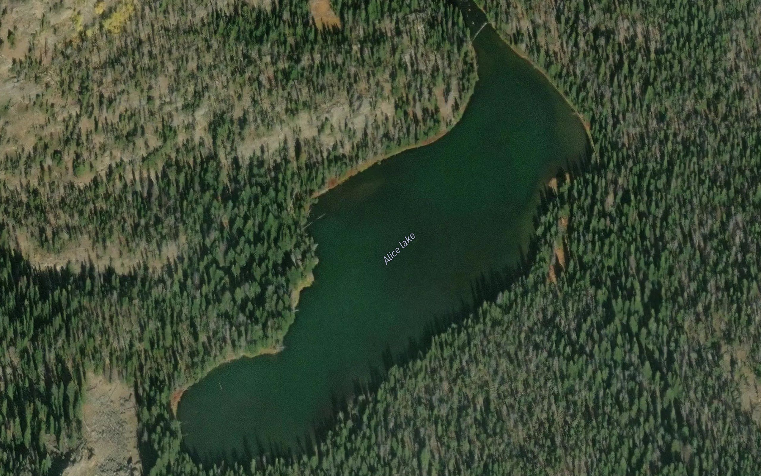 Alice Lake