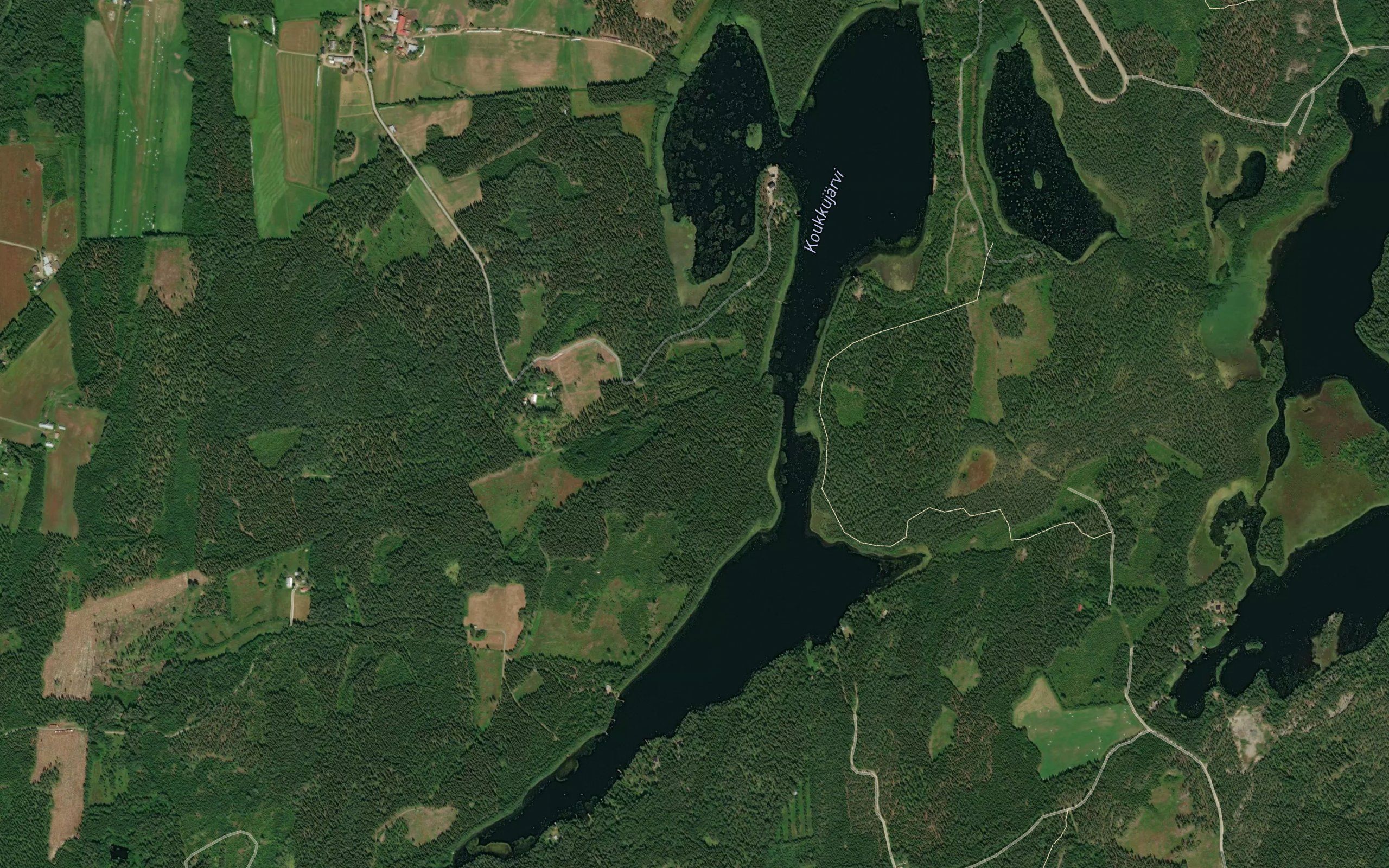 Heposalmi