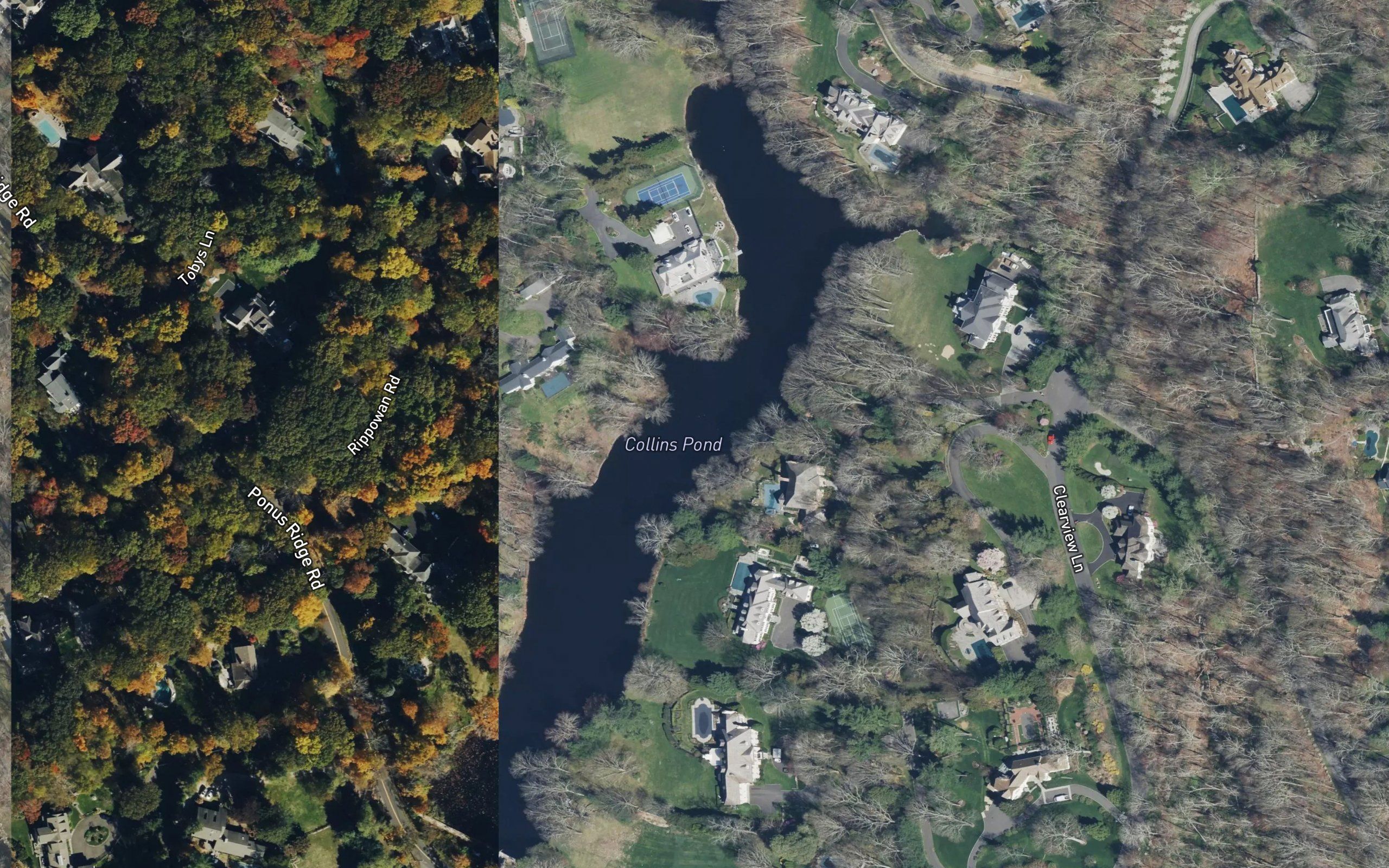 Collins Pond