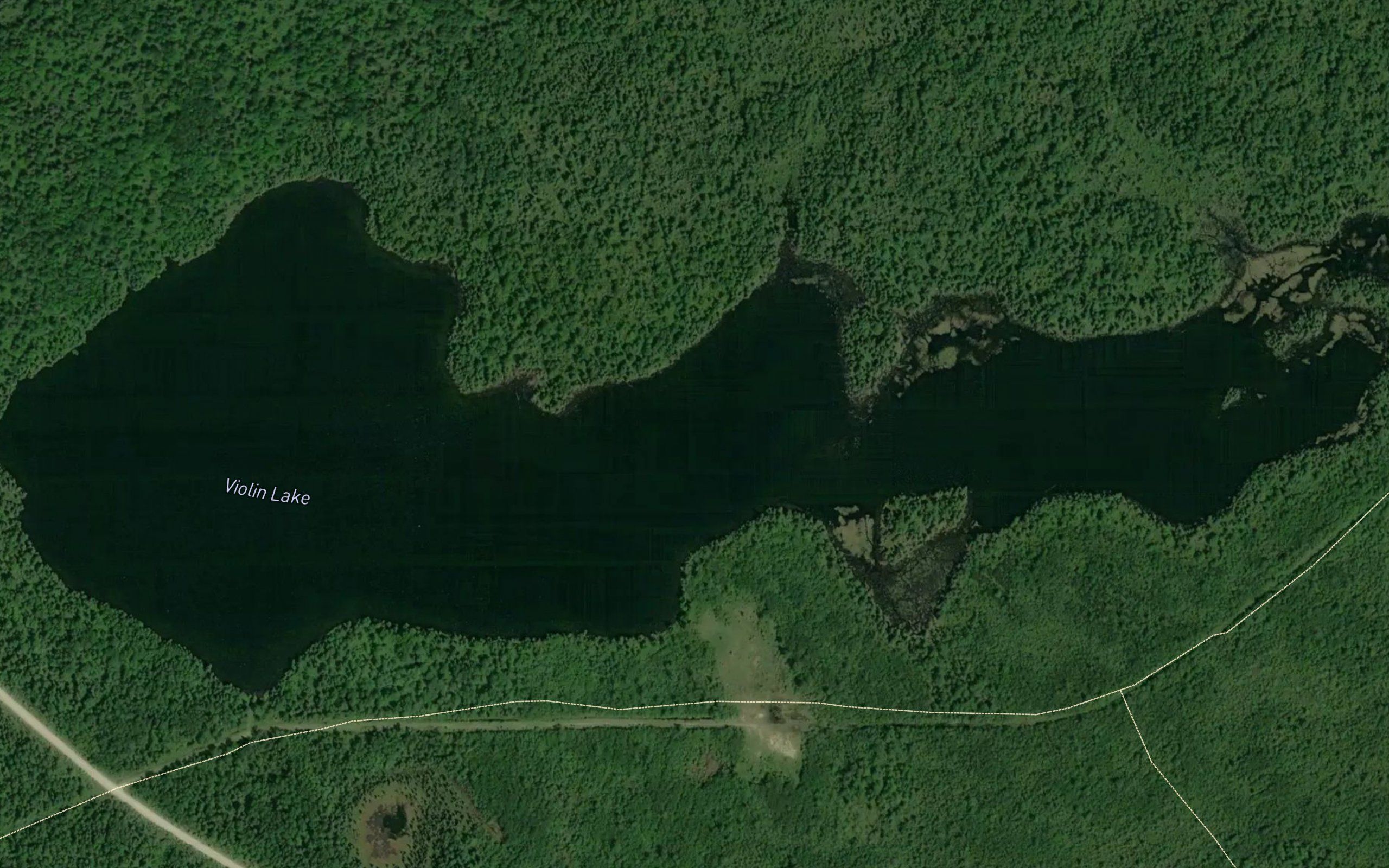 Violin Lake