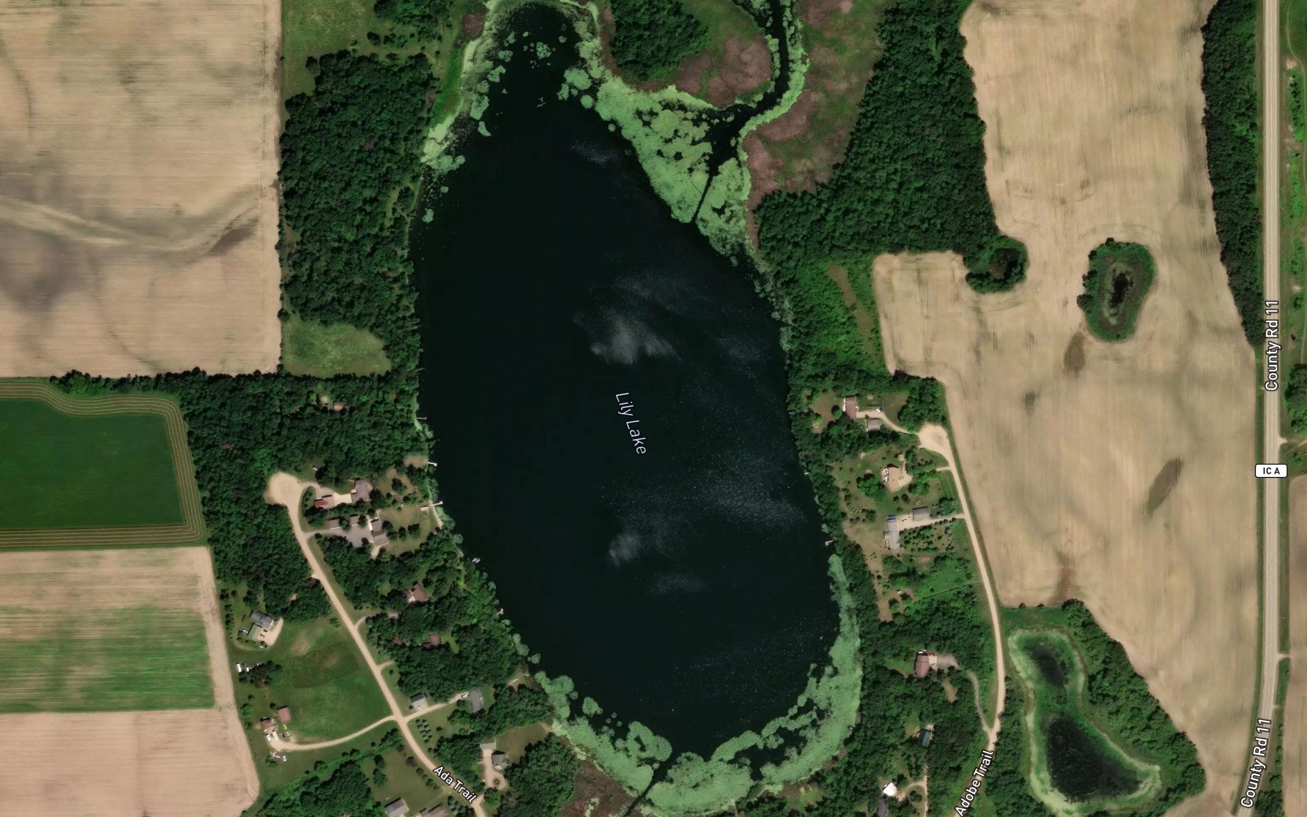 Lily Lake