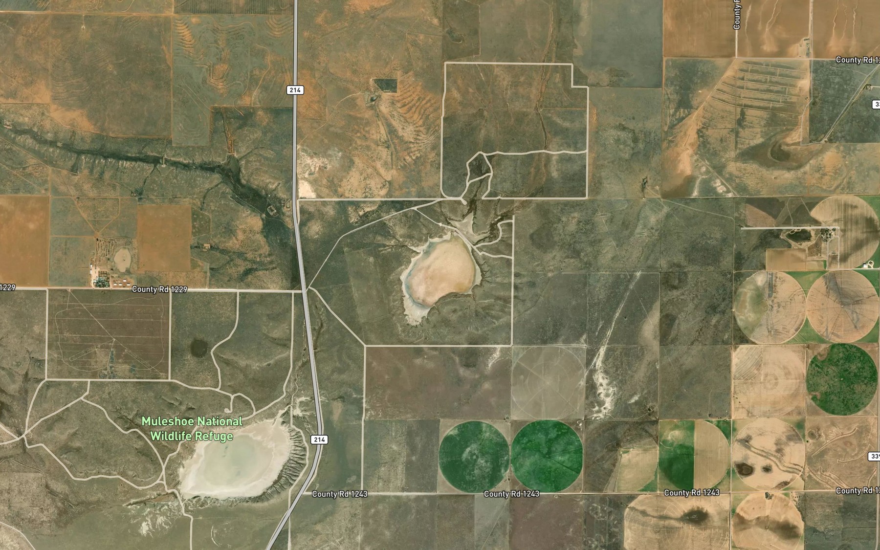 Satellite map of the Lower Pauls Lake
