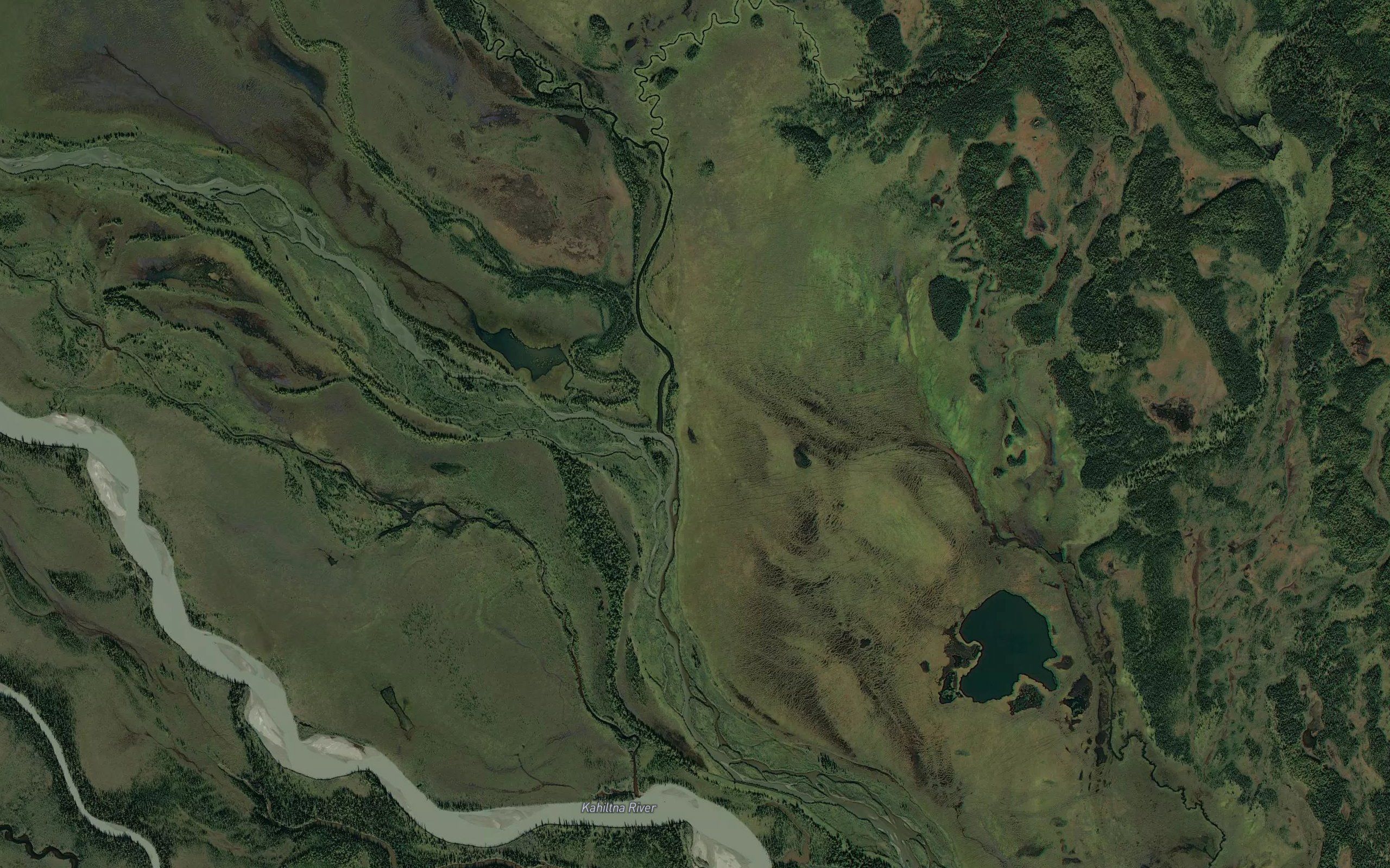 Pickle Creek