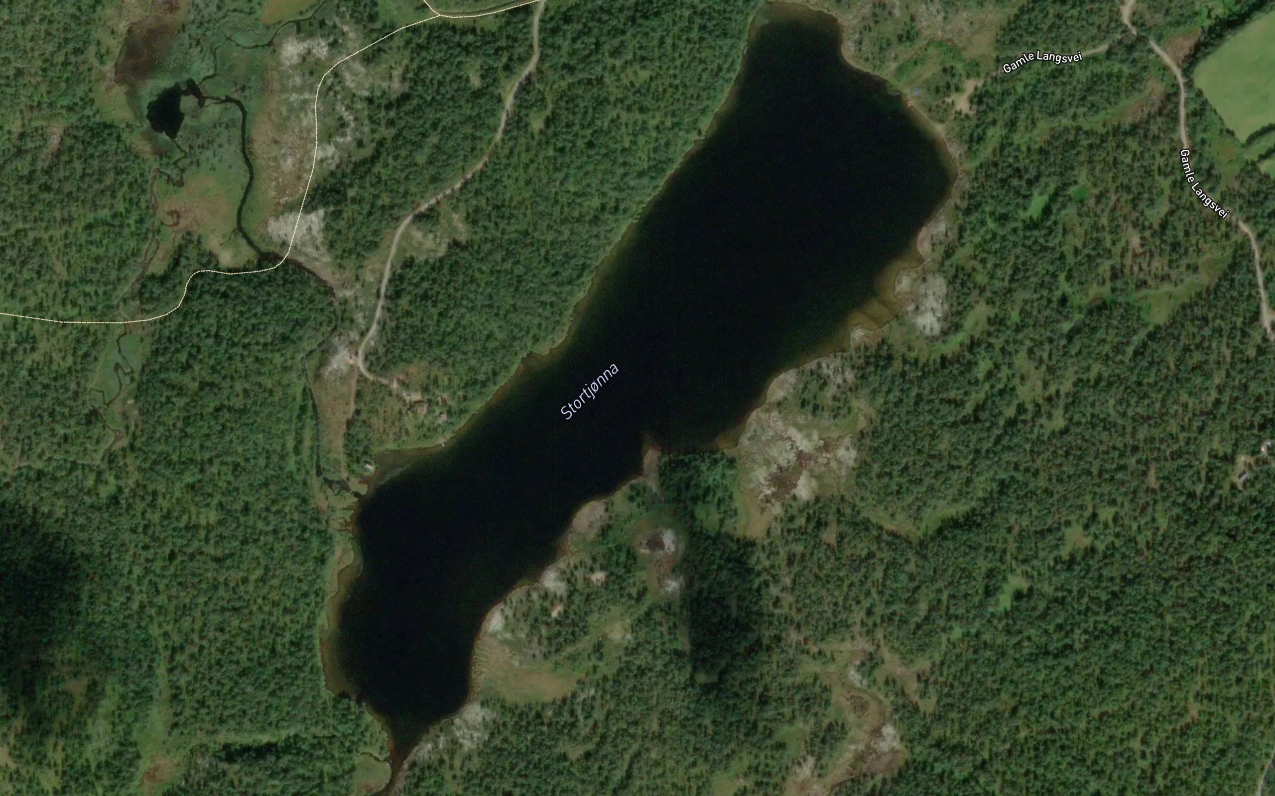 Stortjorna