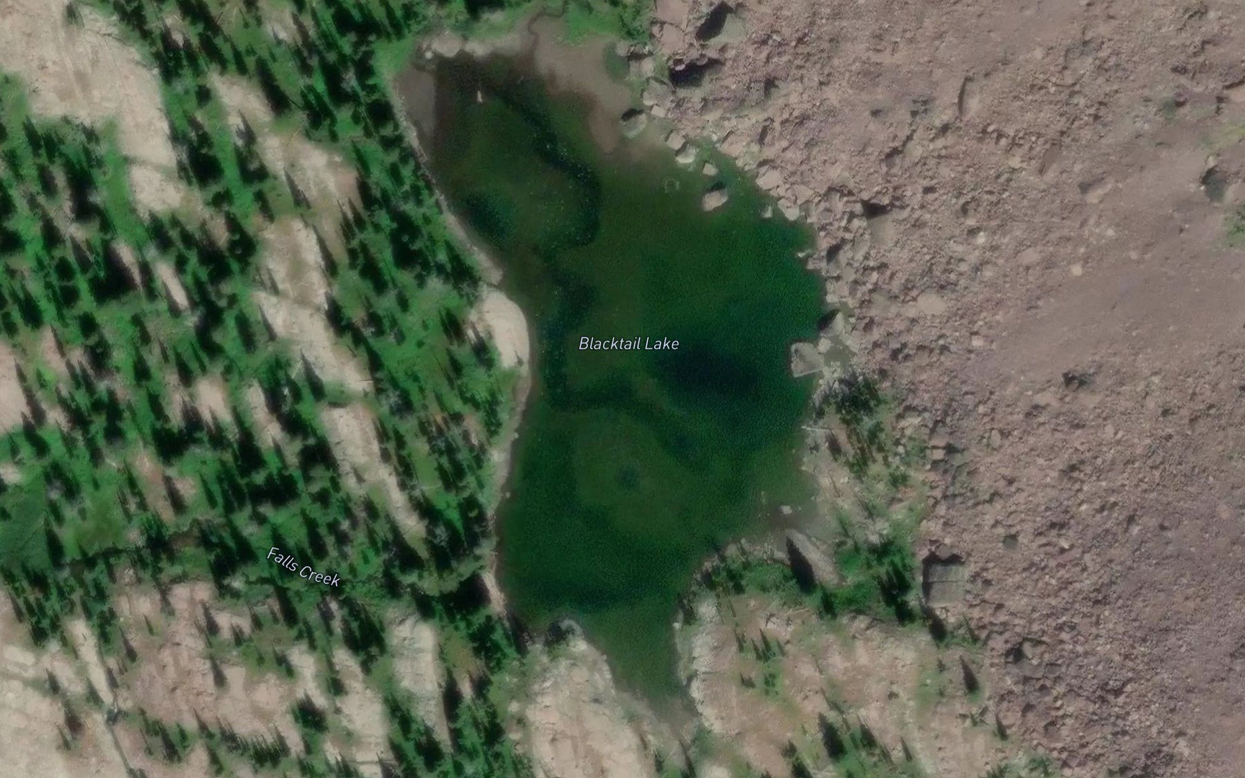 Satellite map of the Blacktail Lake