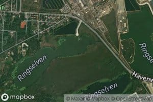 Ringselven