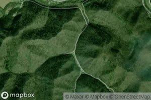 Spring Fork