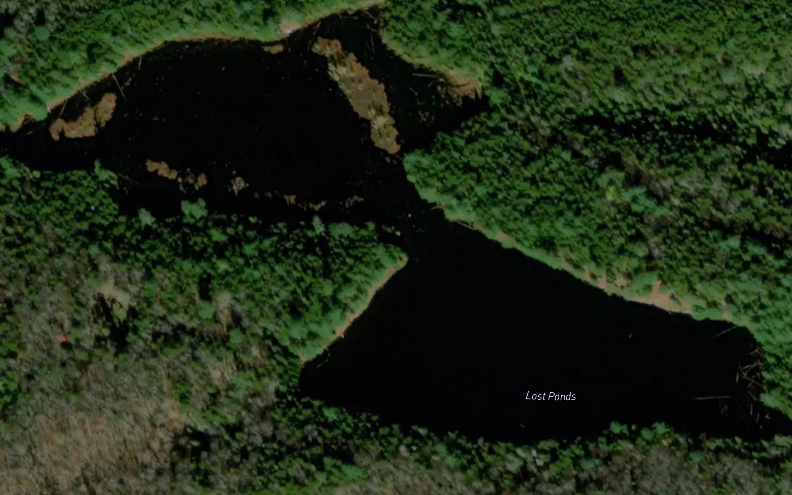 Lost Ponds