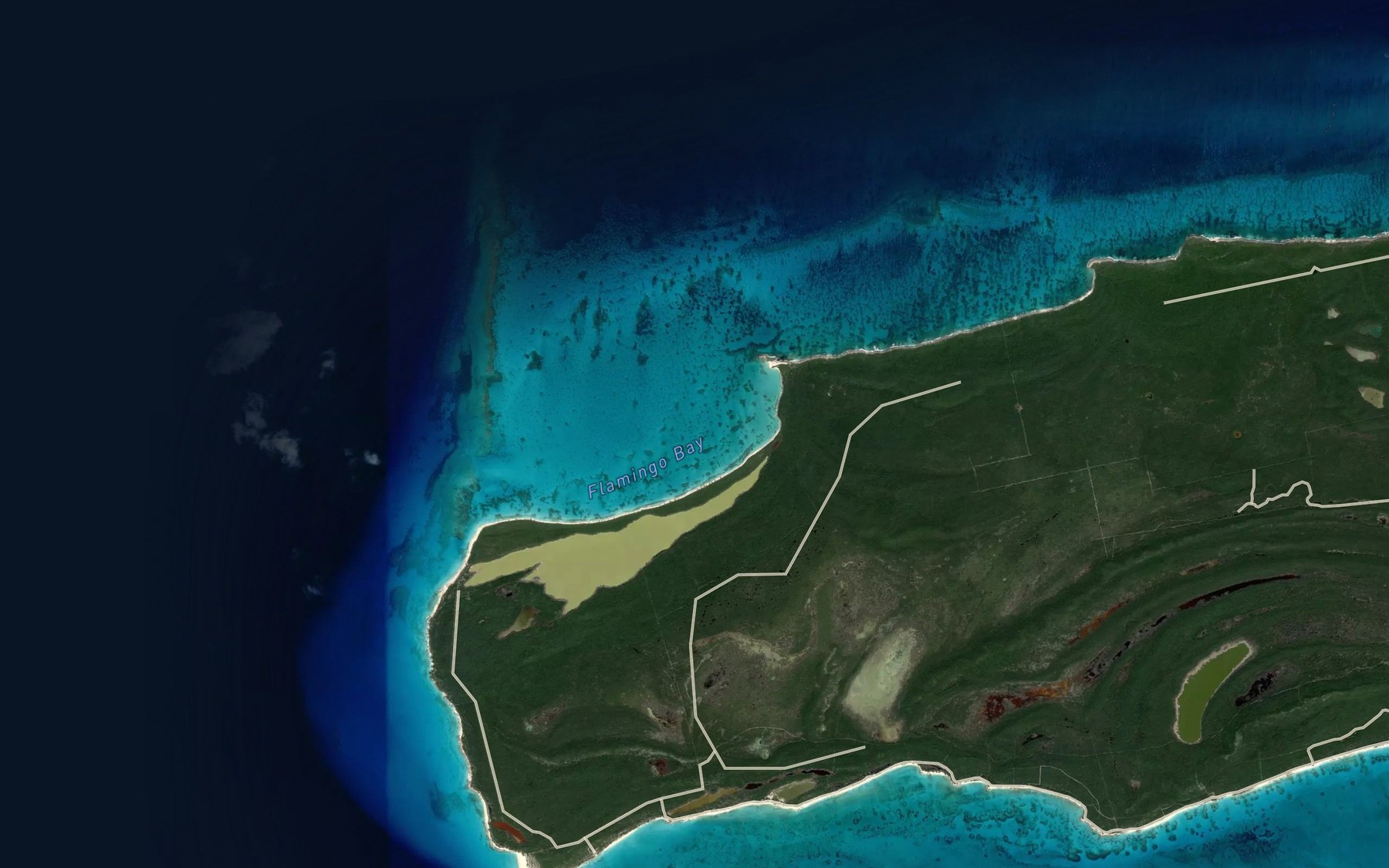 Satellite map of the Flamingo Bay