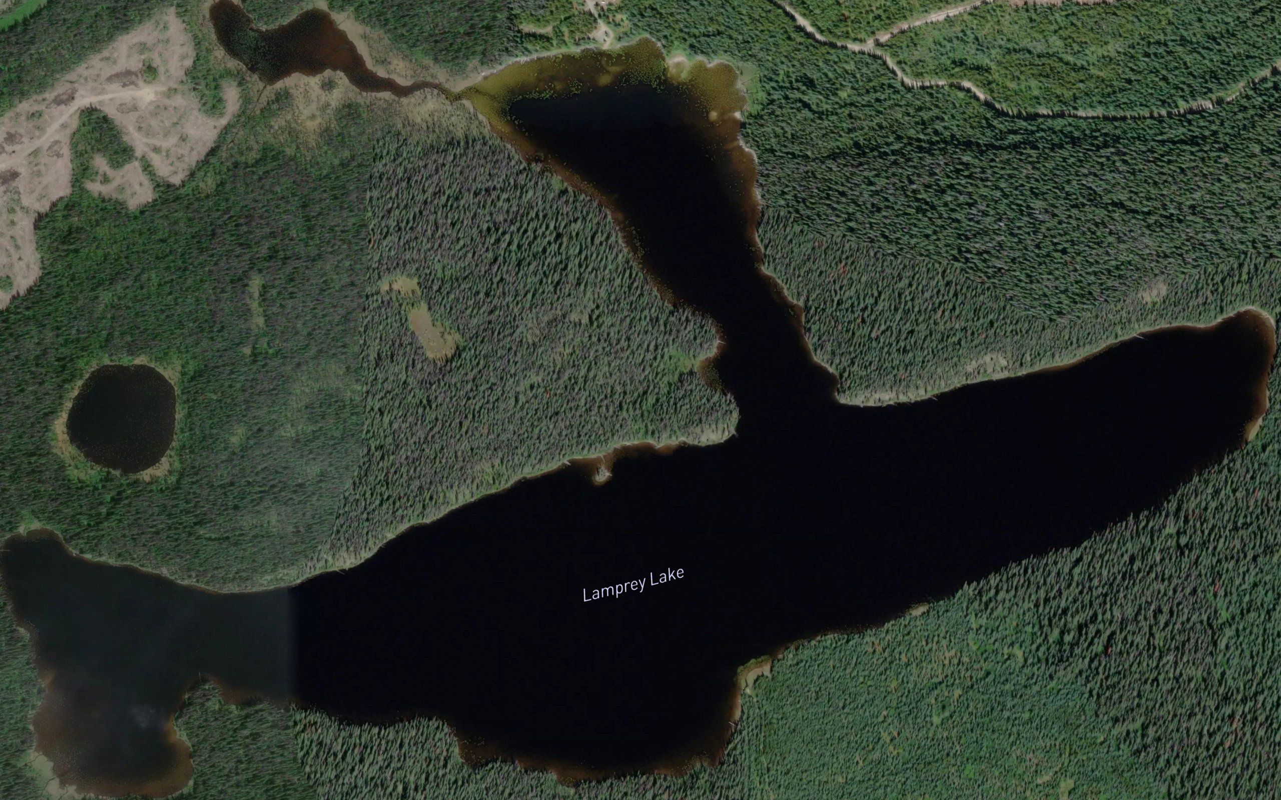 Lamprey Lake