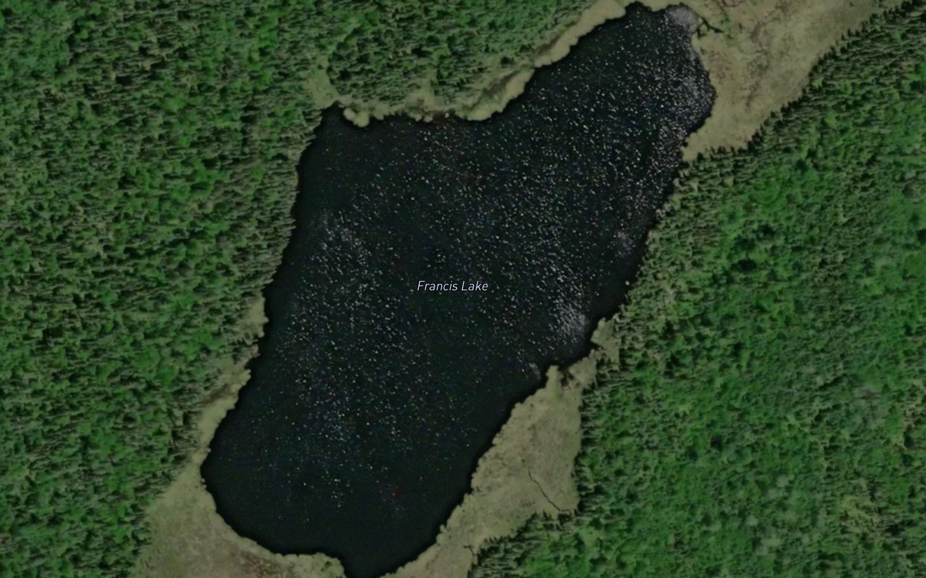 Satellite map of the Francis Lake