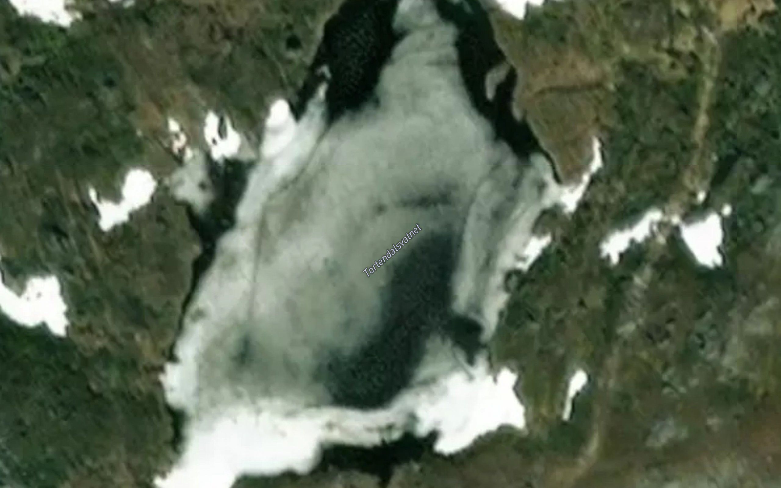 Tortendalsvatnet
