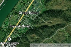 Bradfield Cliff Spring