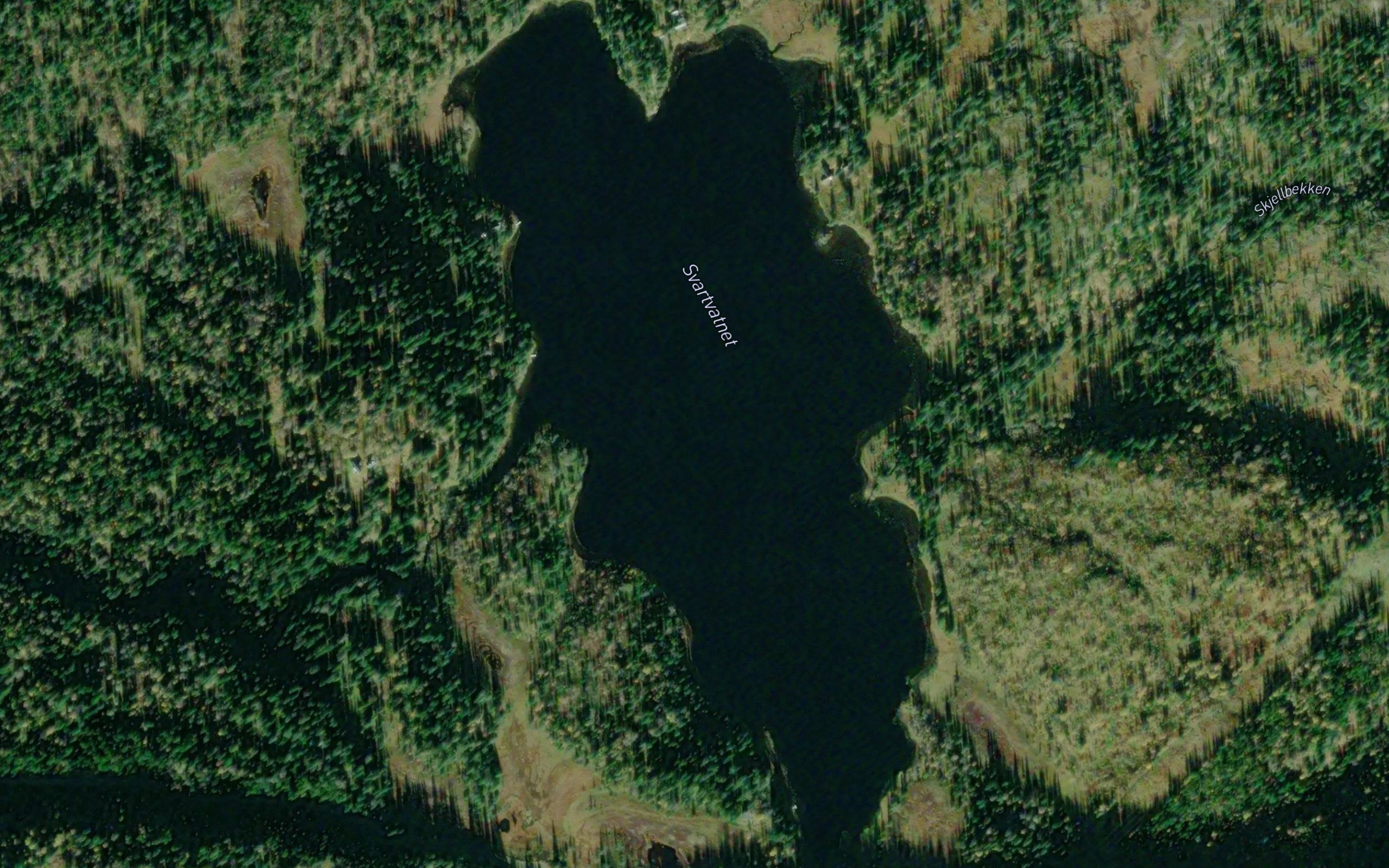 Svartvatnet