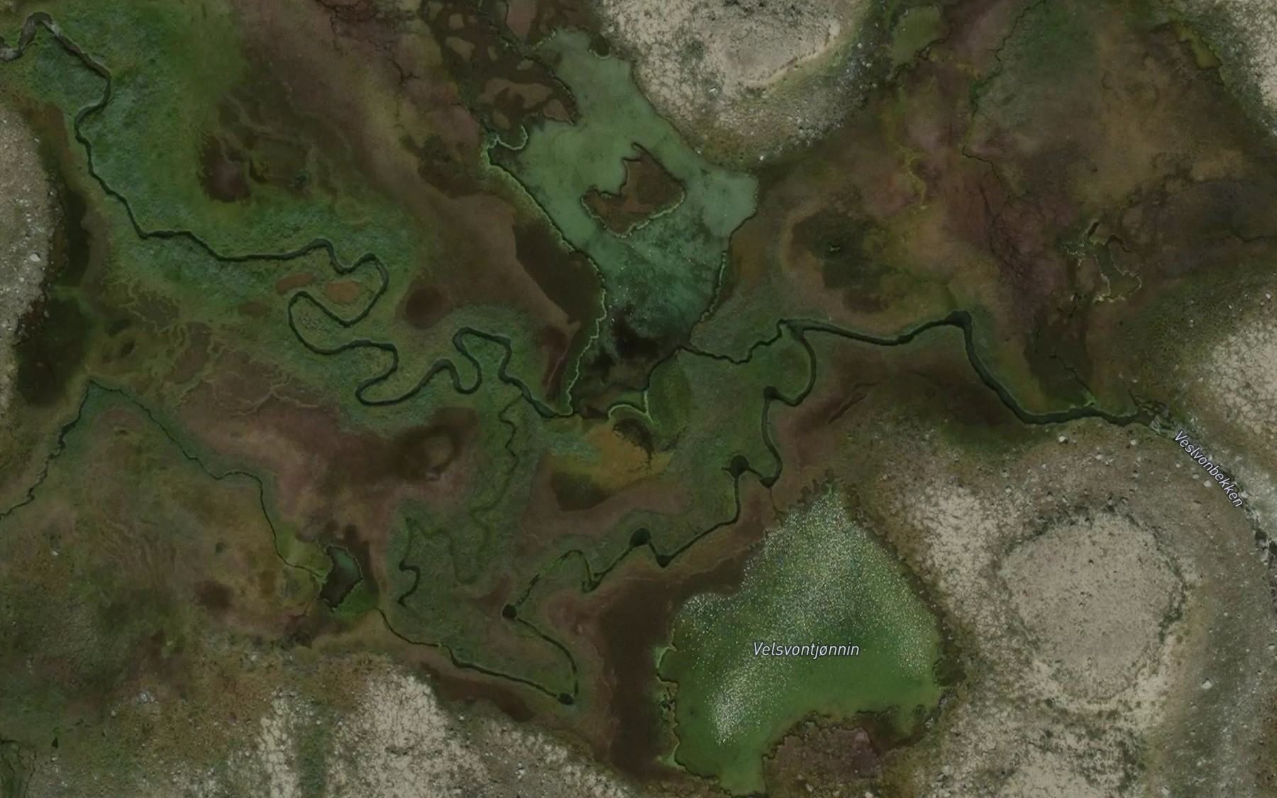 Satellite map of the Veslvontjornan