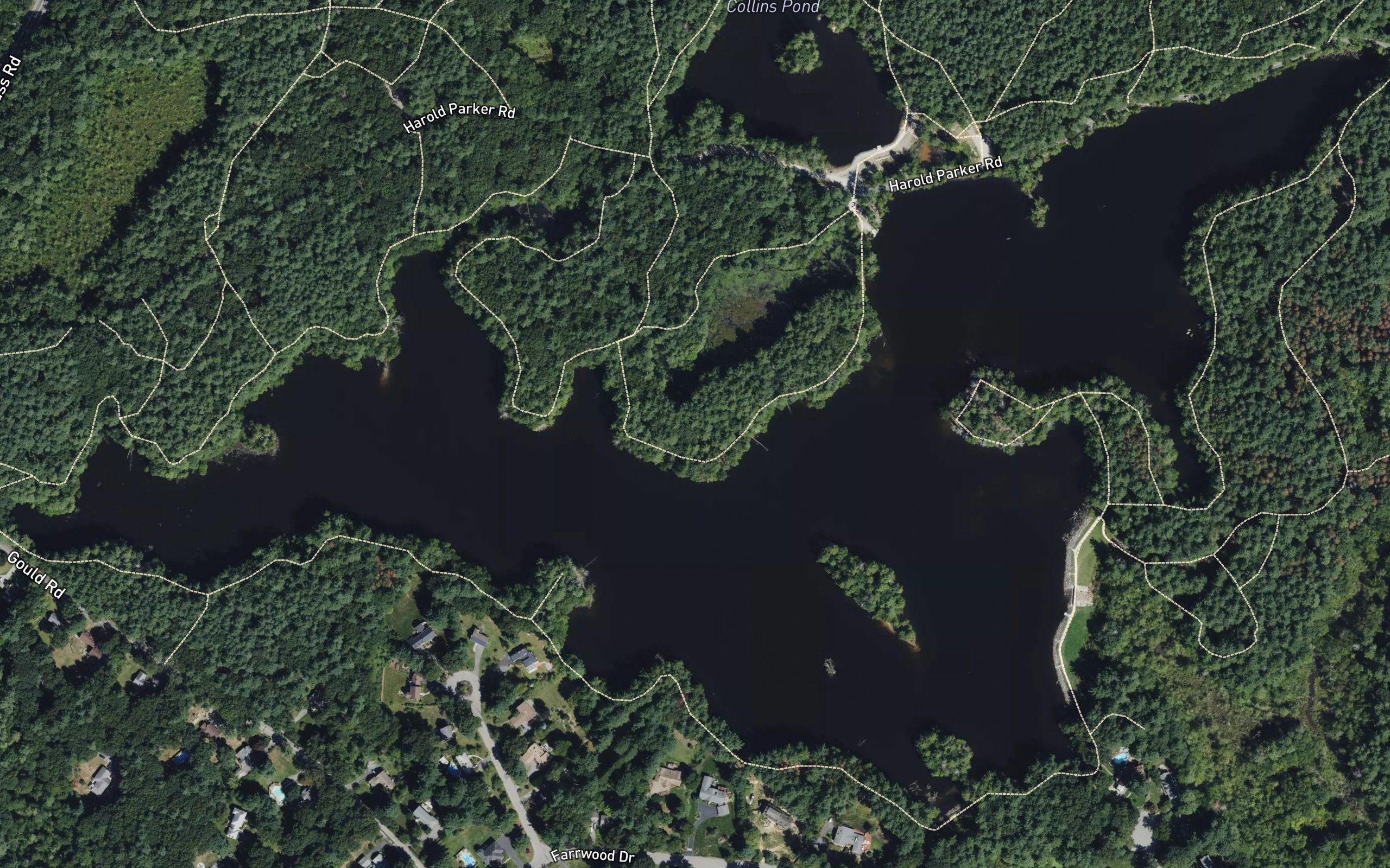 Field Pond