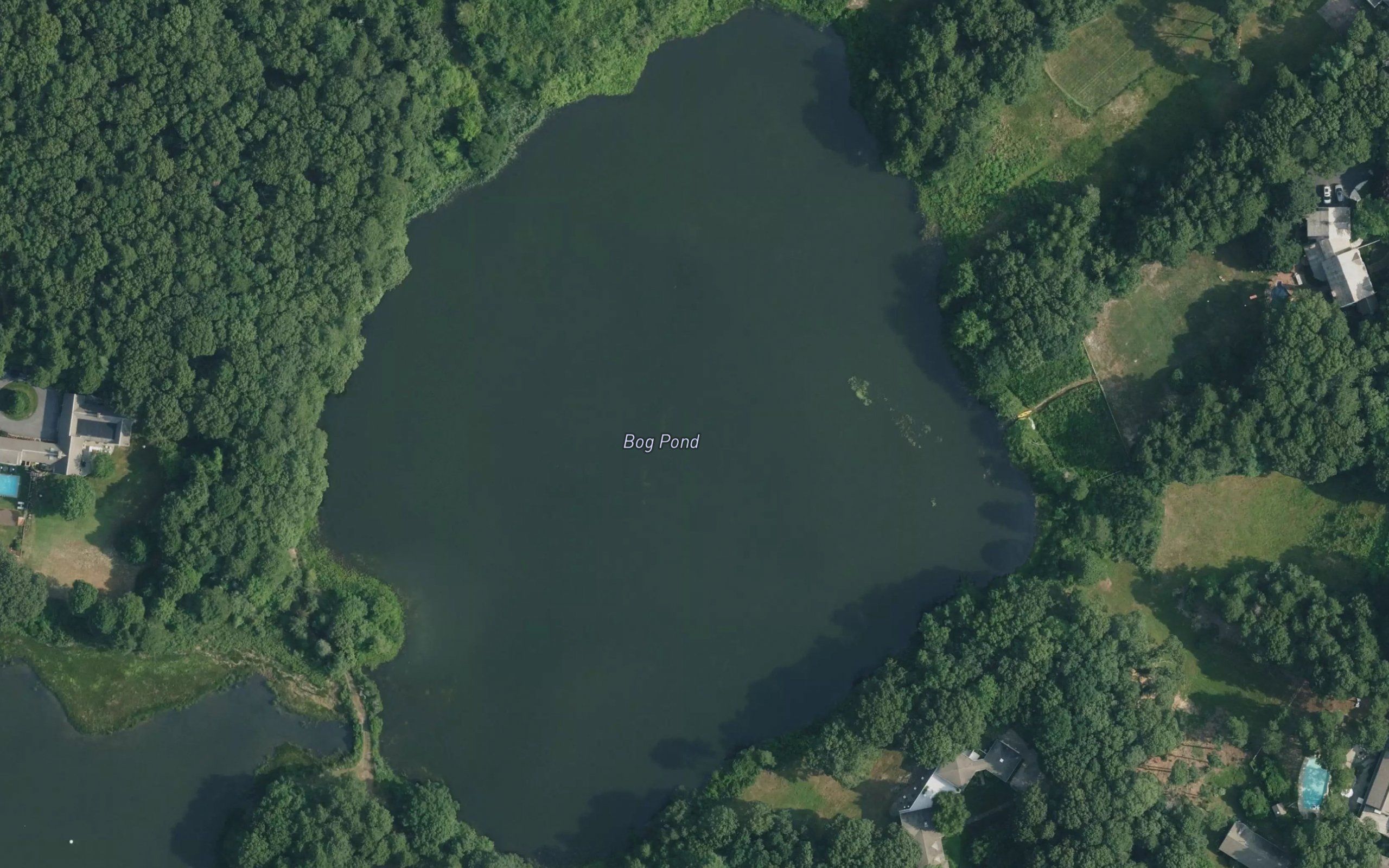 Bog Pond