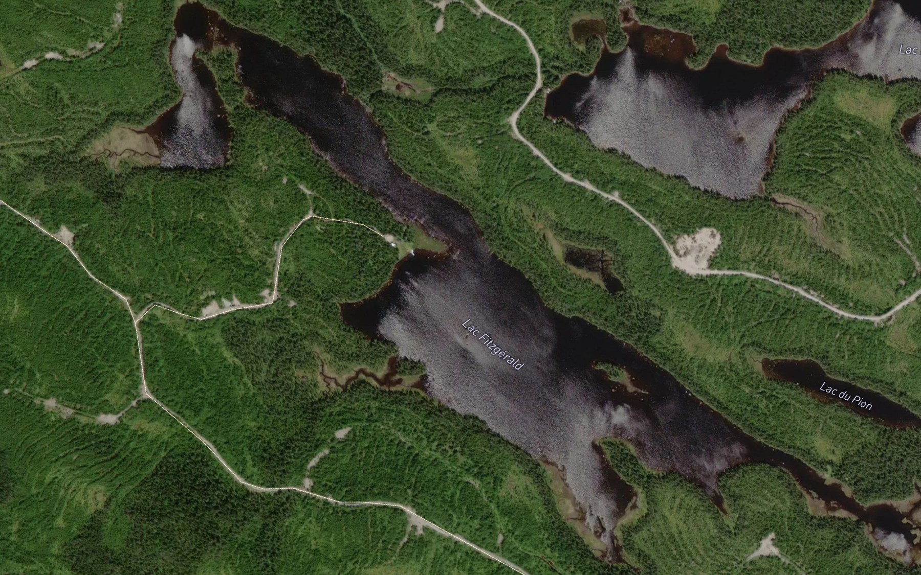 Satellite map of the Lac Fitzgerald