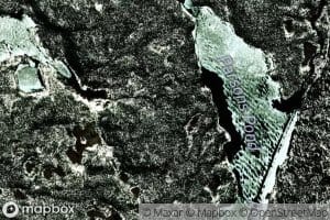 Parsons Pond