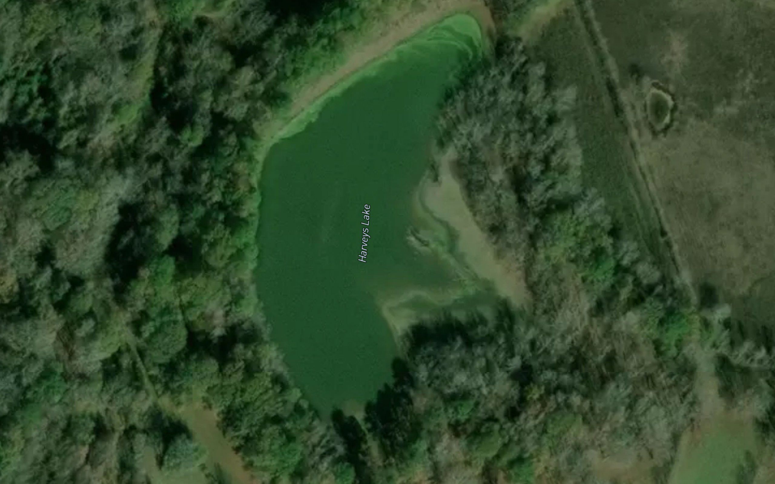 Harveys Lake