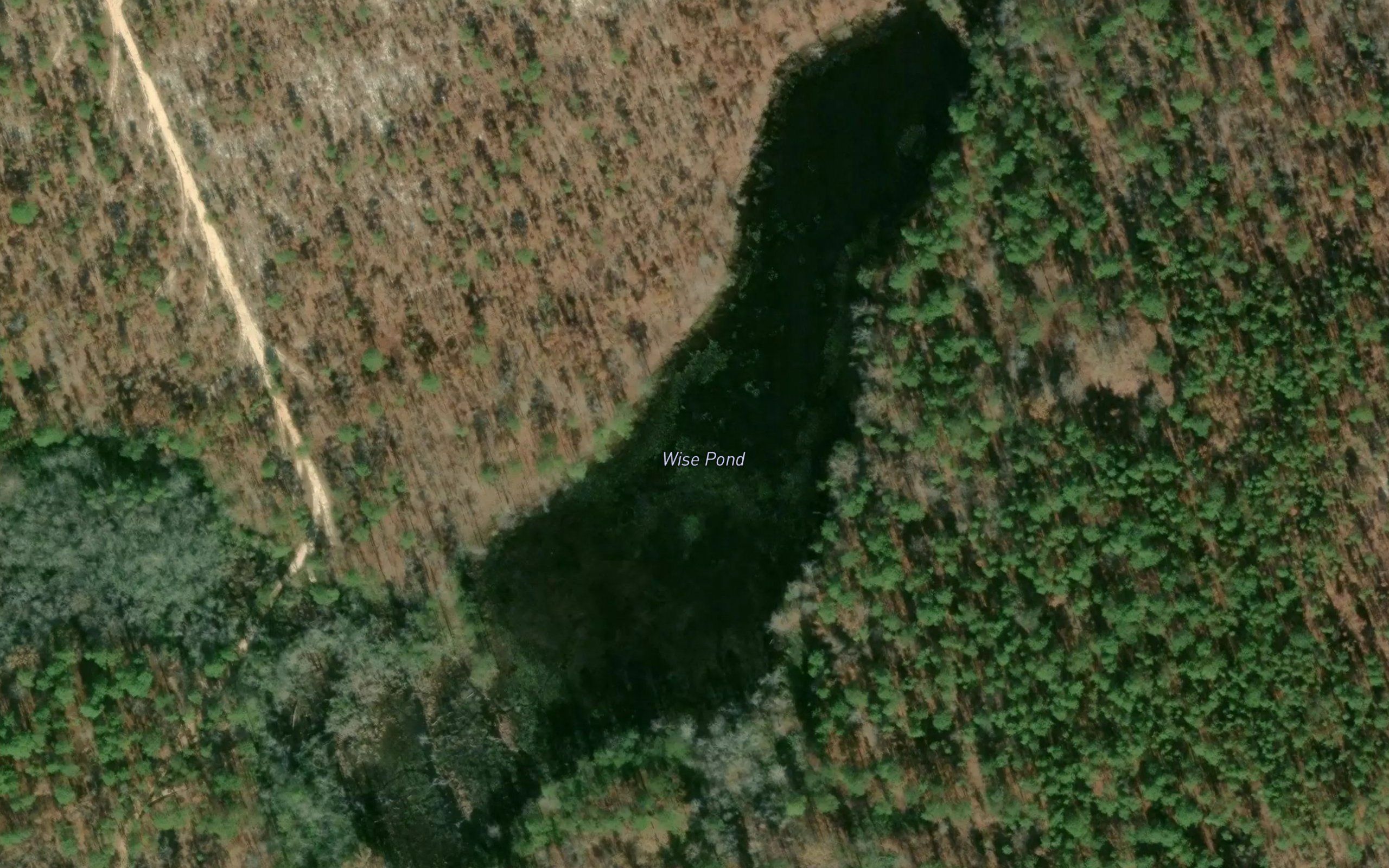 Wise Pond