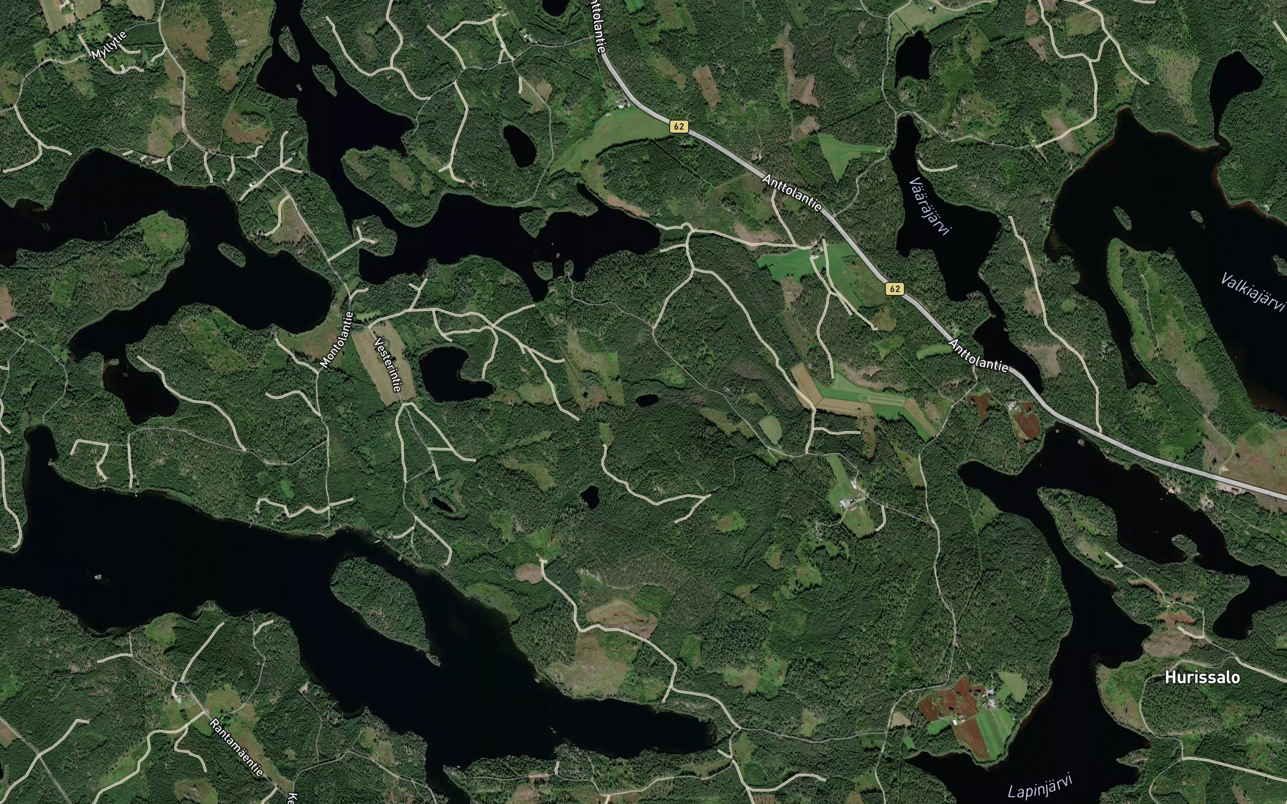 Heinalampi