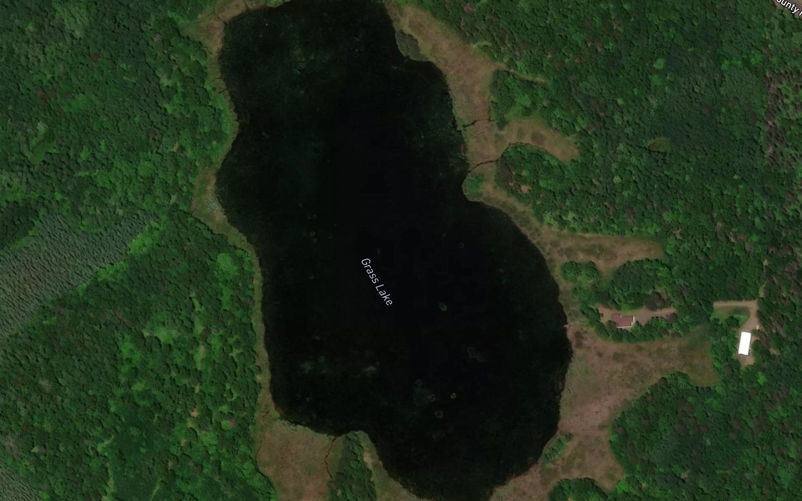 Grass Lake