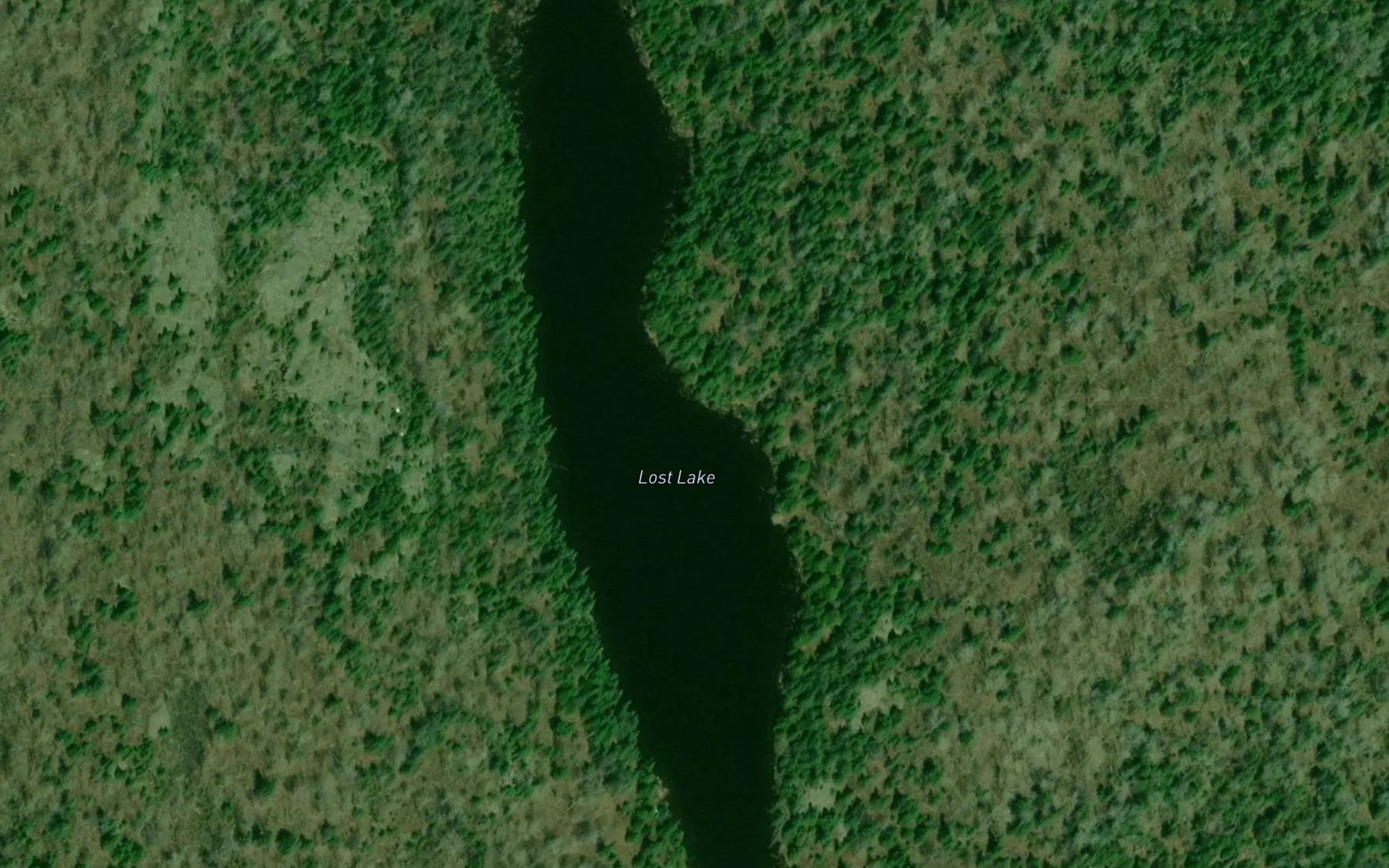 Satellite map of the Lost Lake