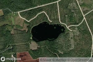 Kolhonlampi