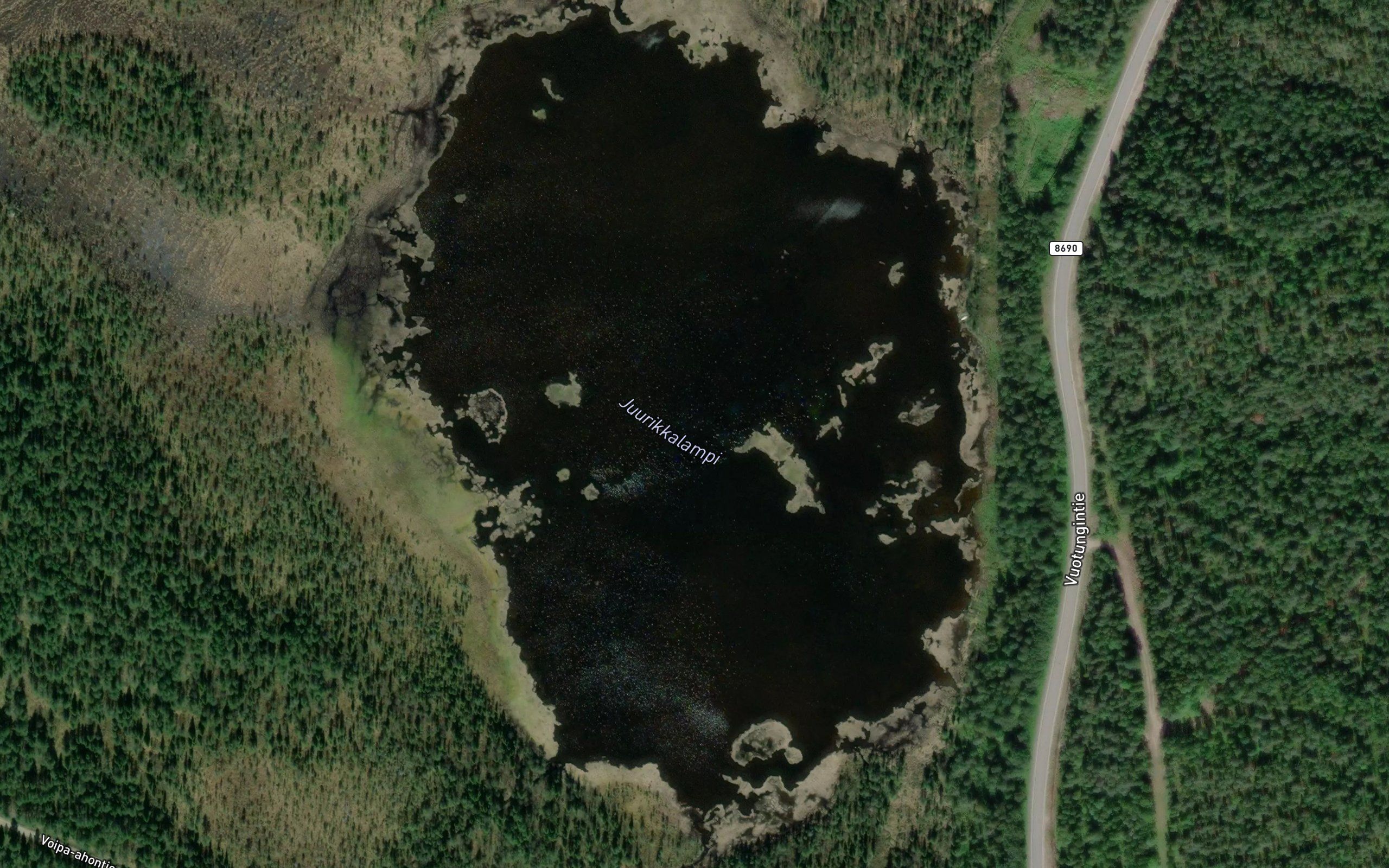 Juurikkalampi