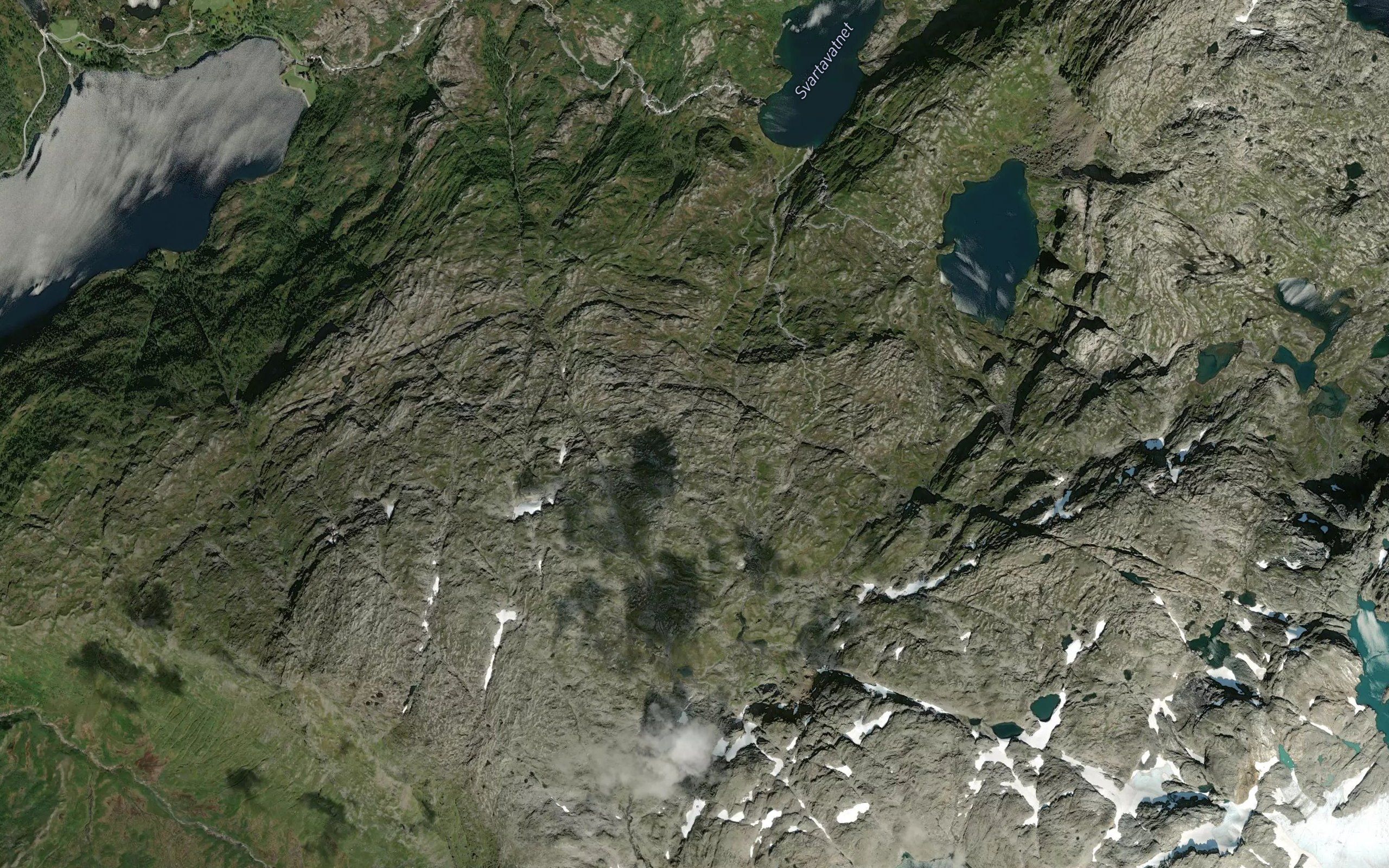 Tverrelvane