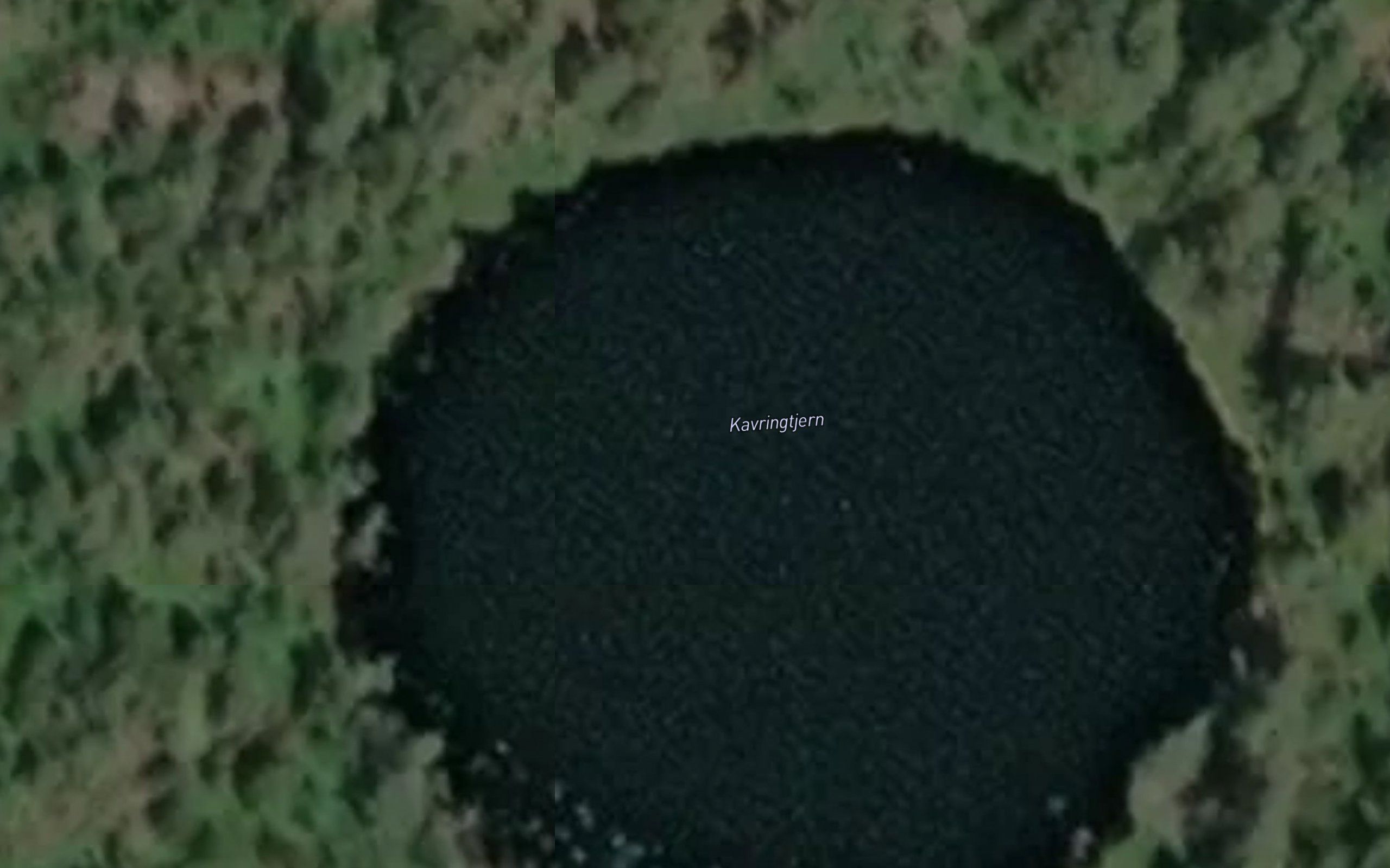 Kavringtjern