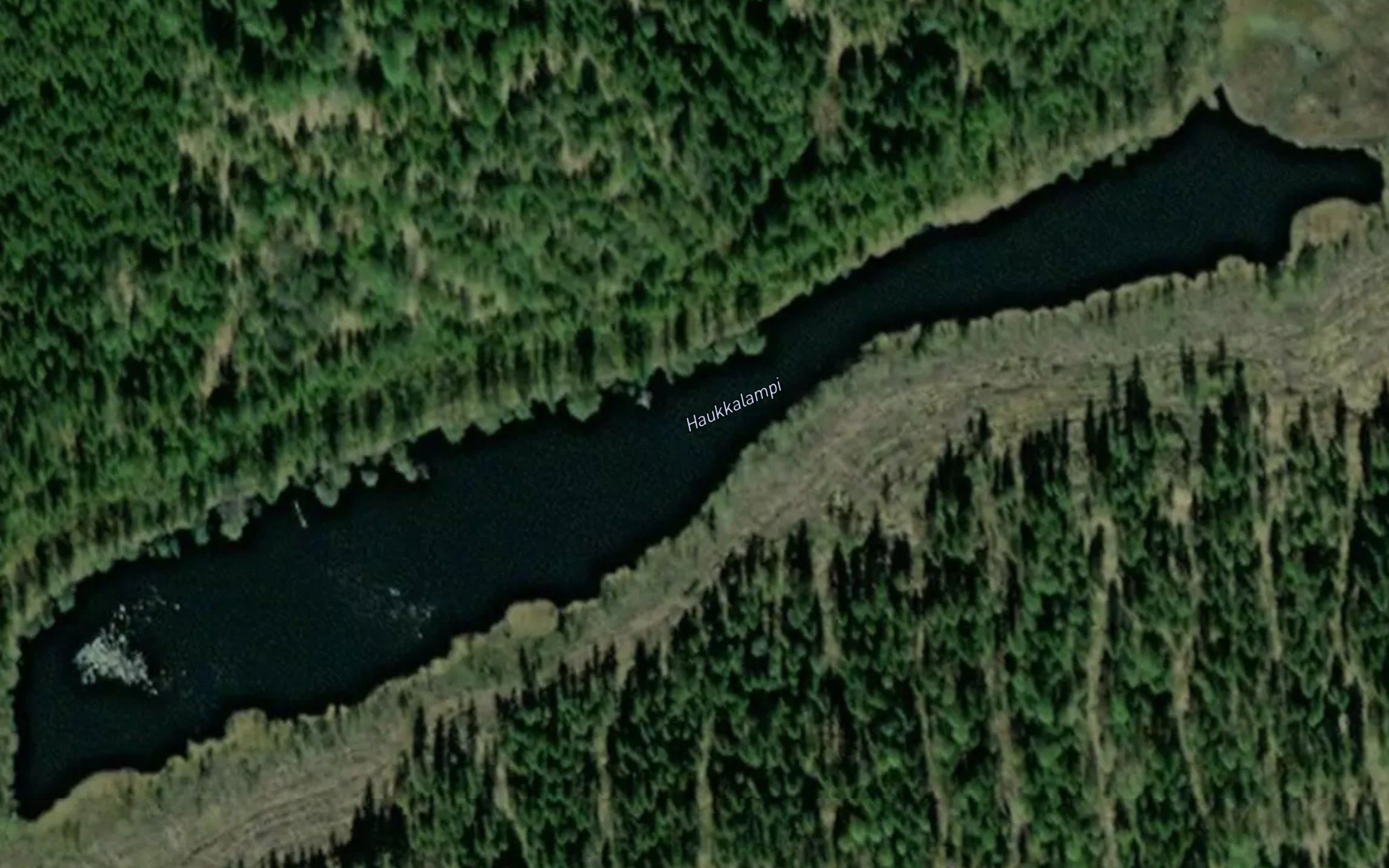 Haukkalammit