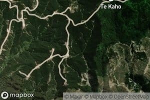 Mangatoitoi Stream