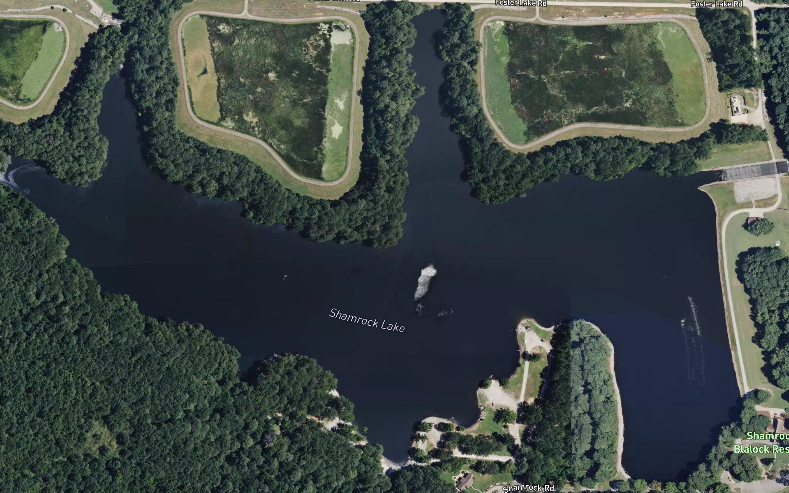 Shamrock Lake