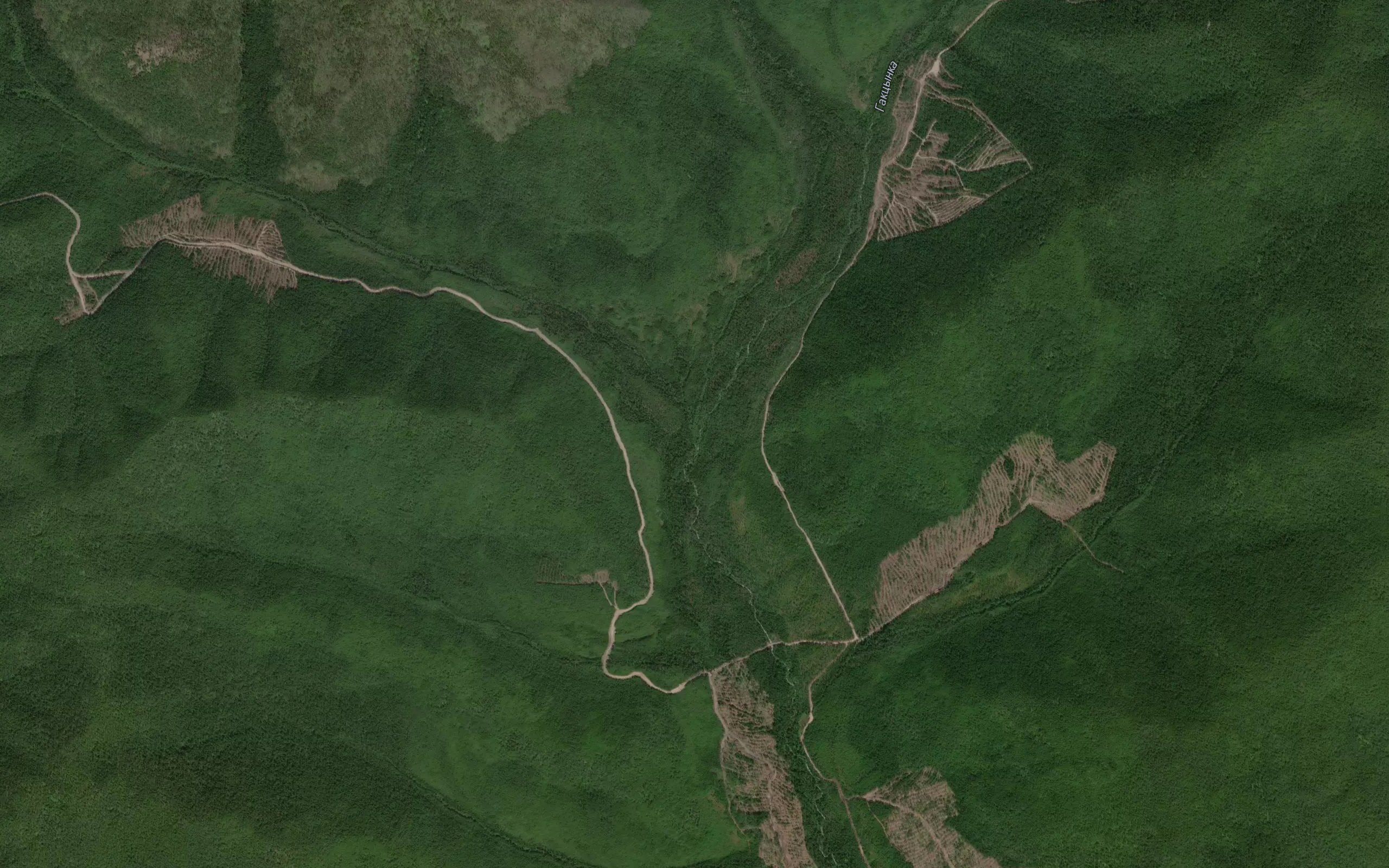 Bokovoy