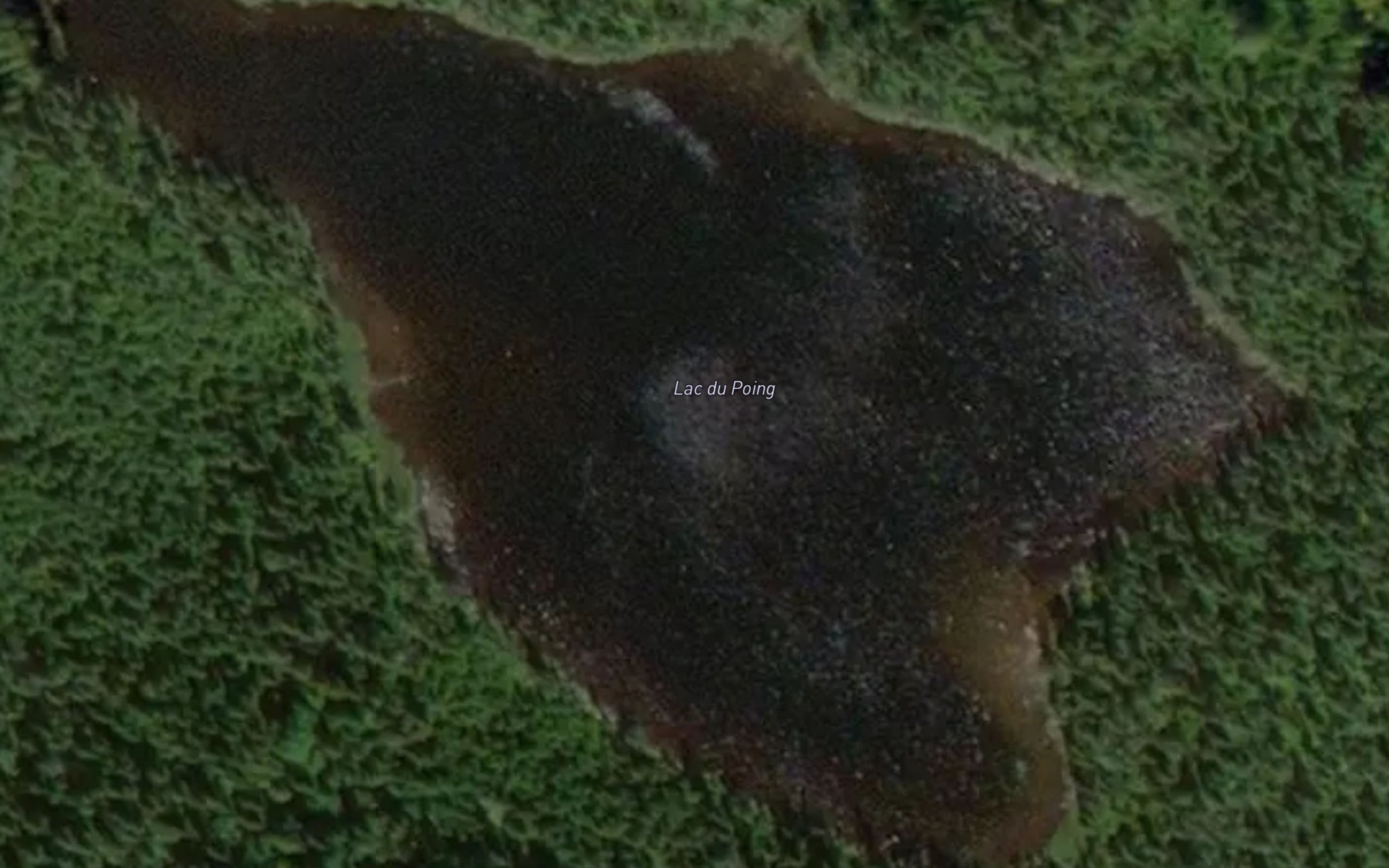 Satellite map of the Lac du Poing