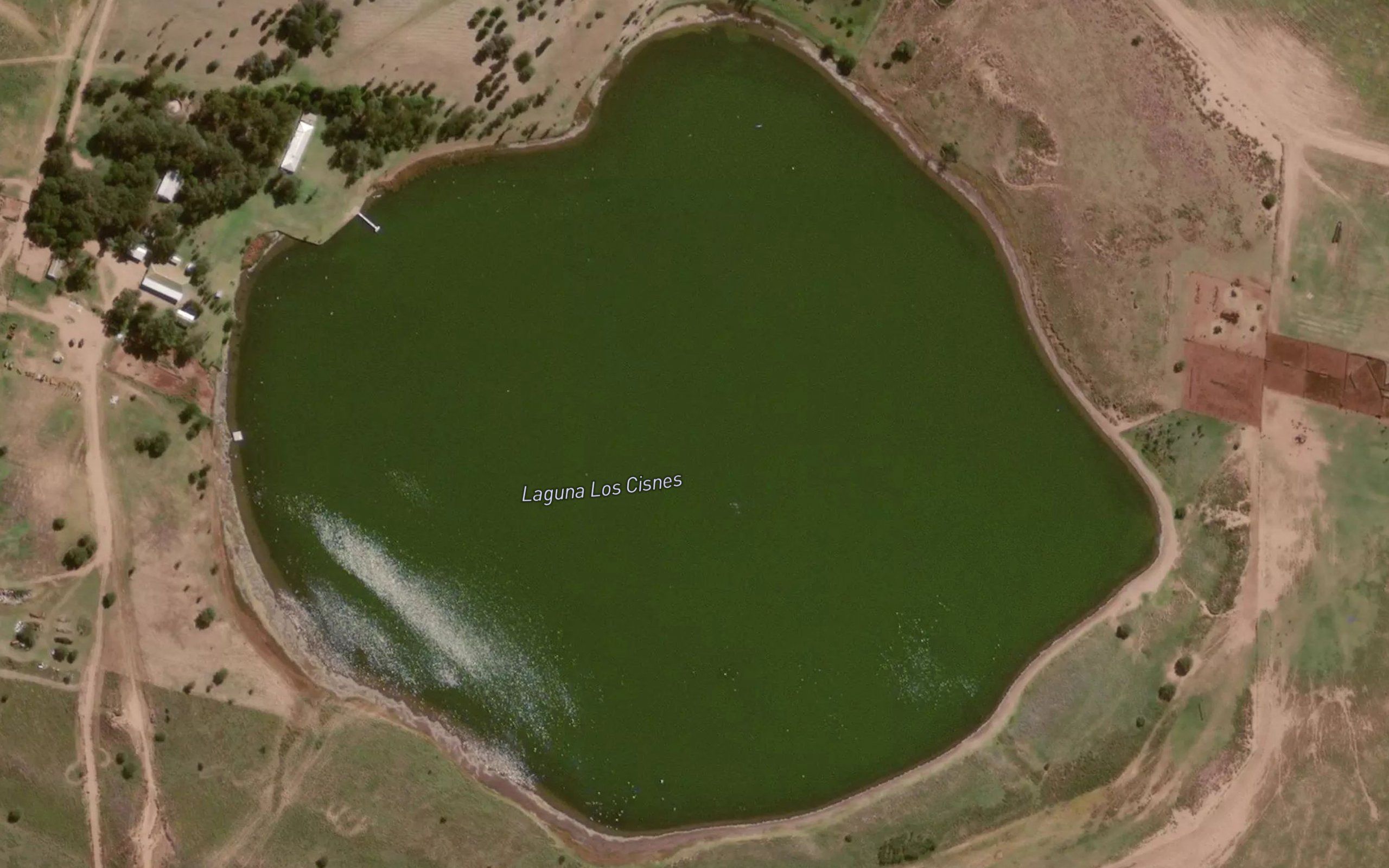 Laguna Cisne