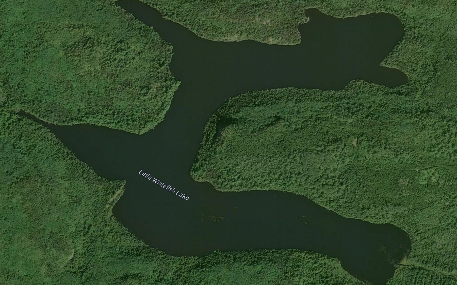 Satellite map of the Little Whitefish Lake