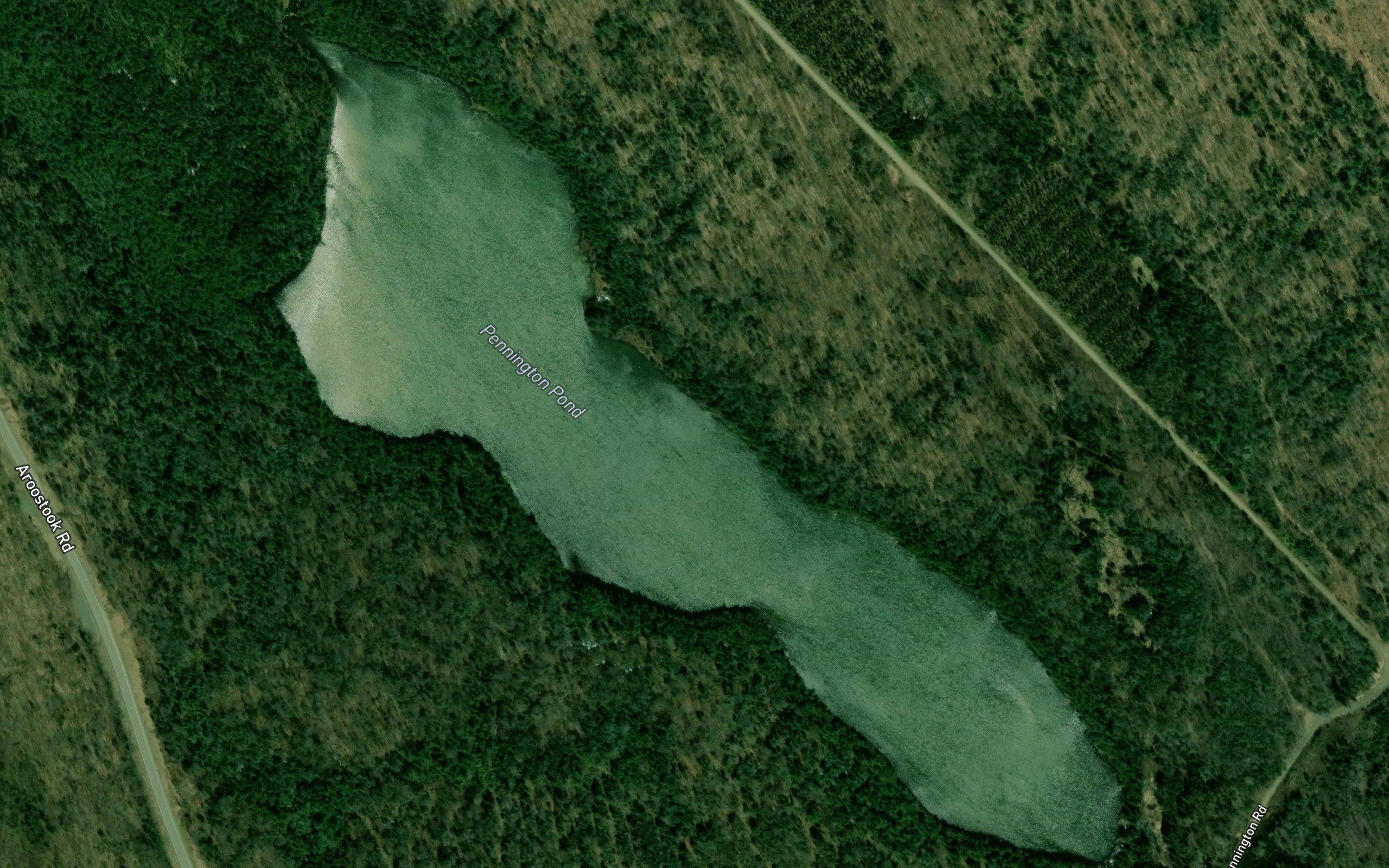Pennington Pond