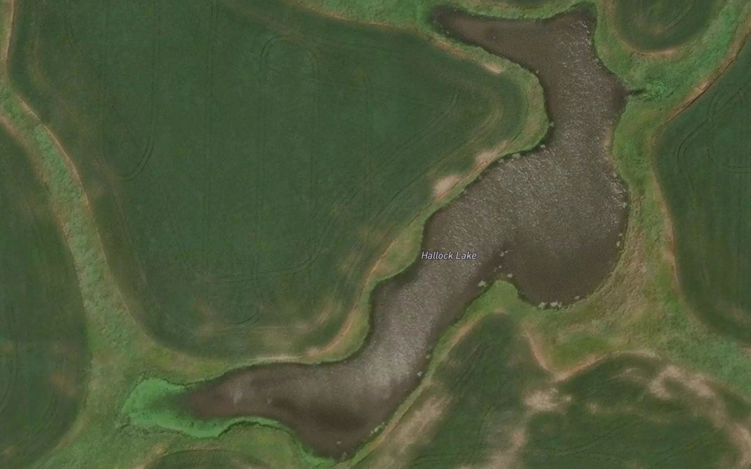 Hallock Lake