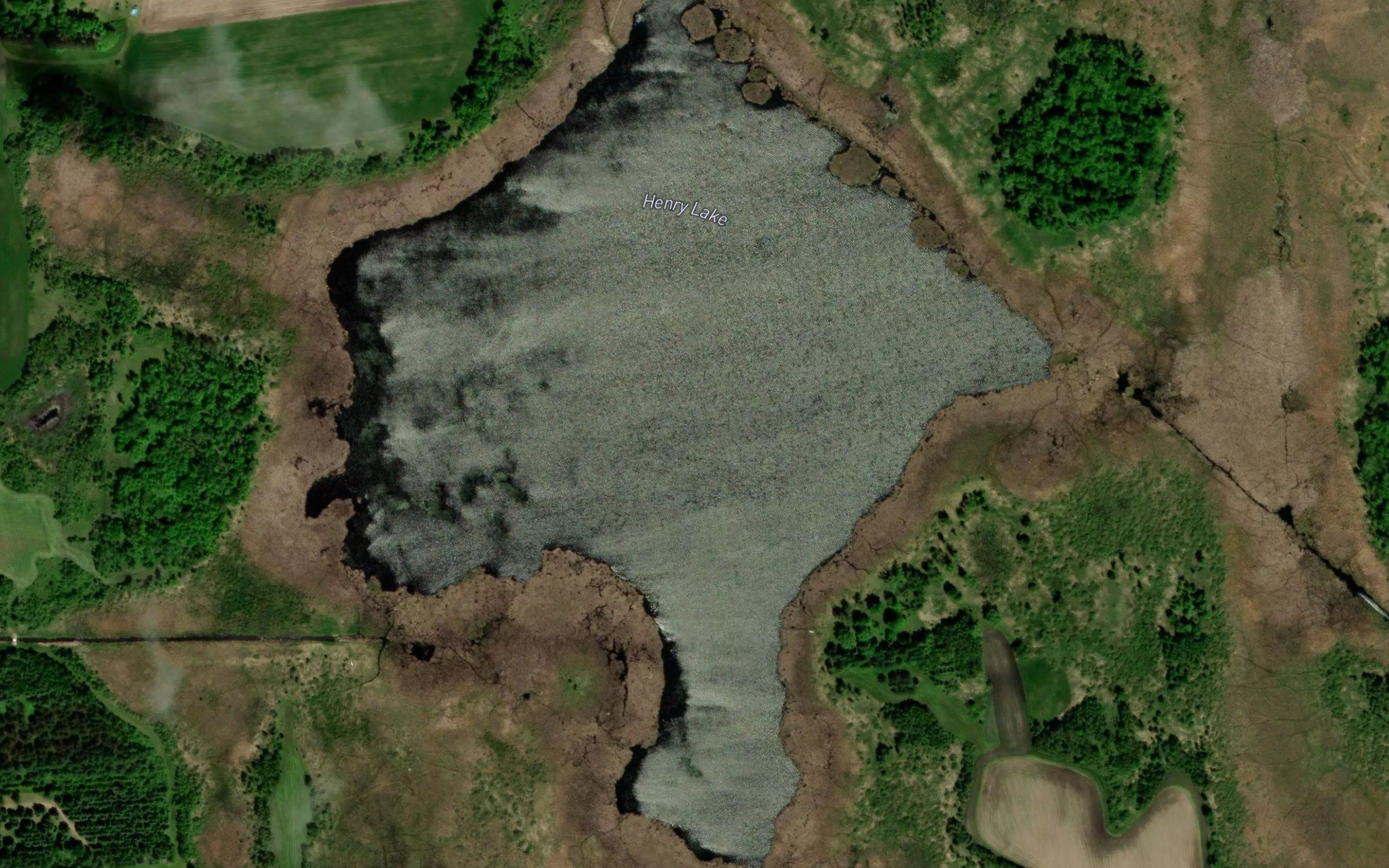 Henry Lake