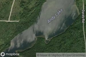 Andy Lake