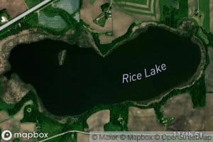 Rice Lake