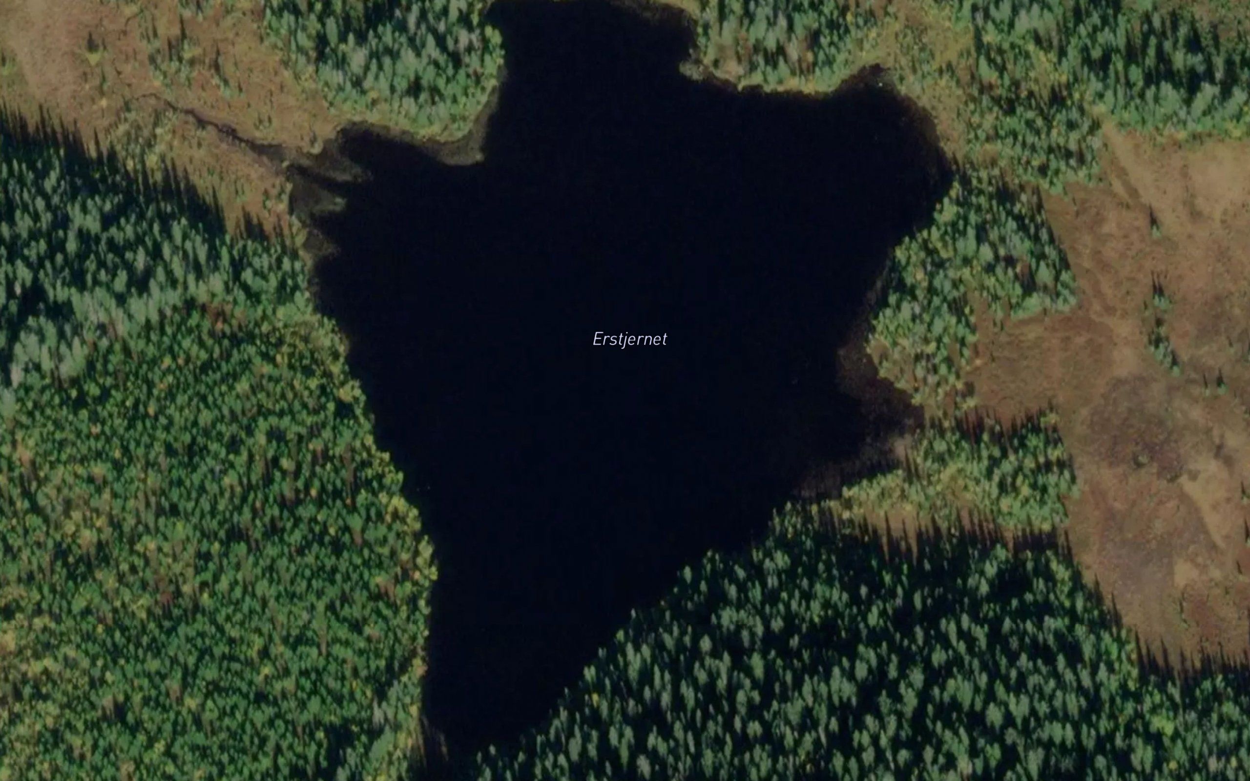 Elgtjernet