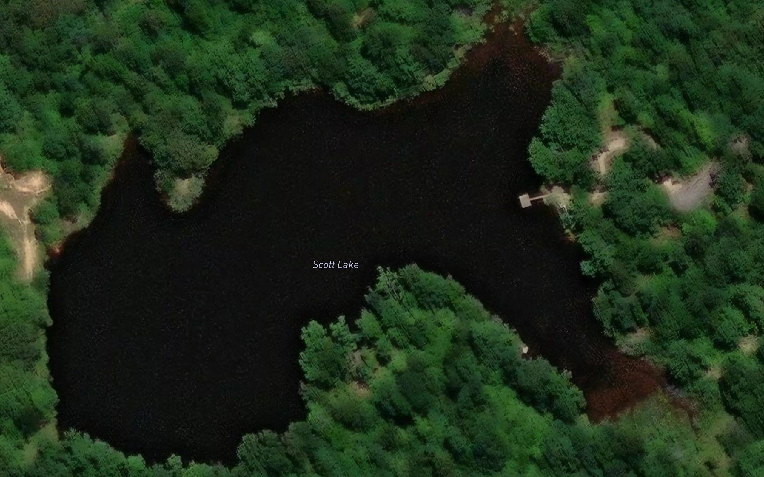Scott Lake